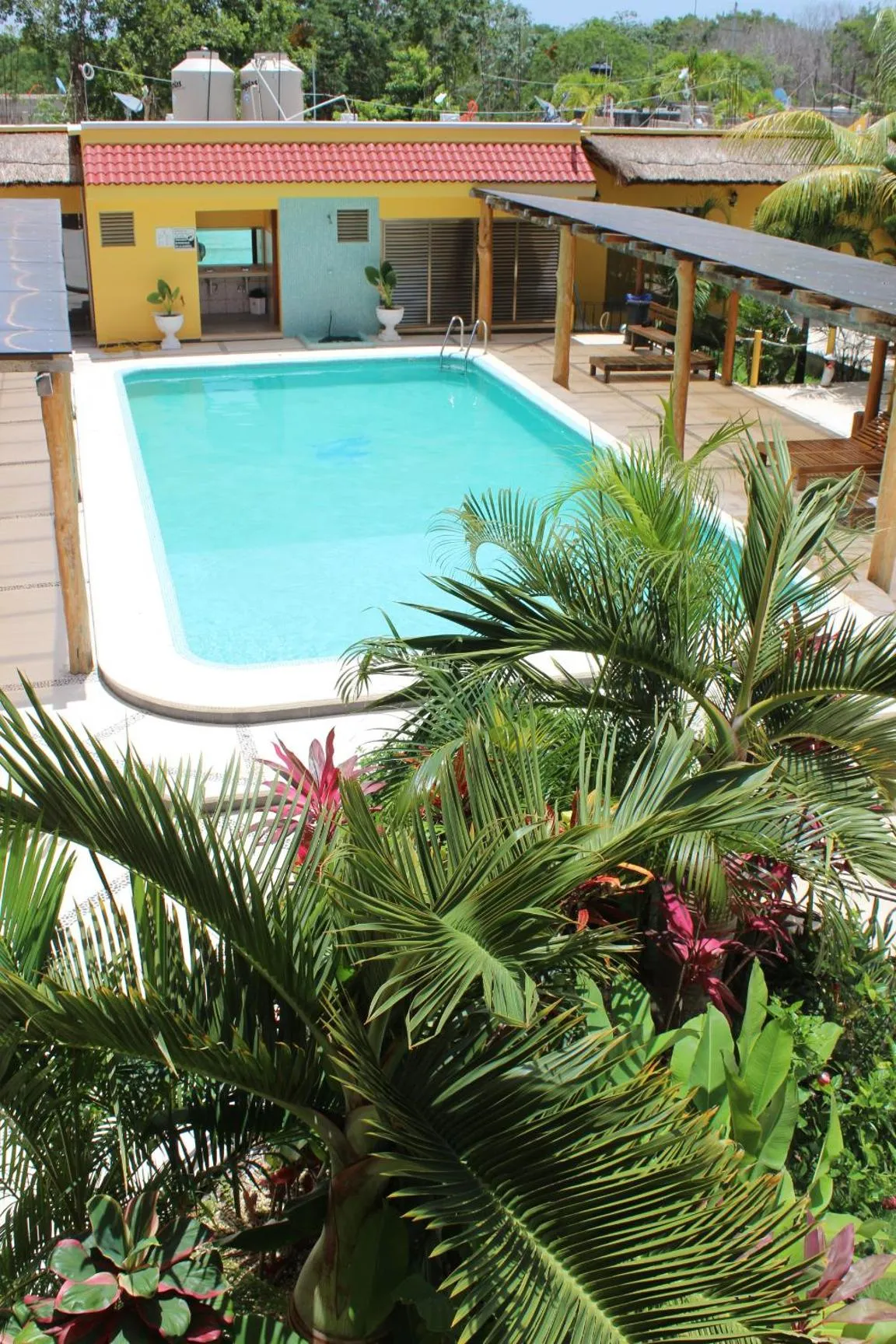 Pool view in Hotel Scarlette