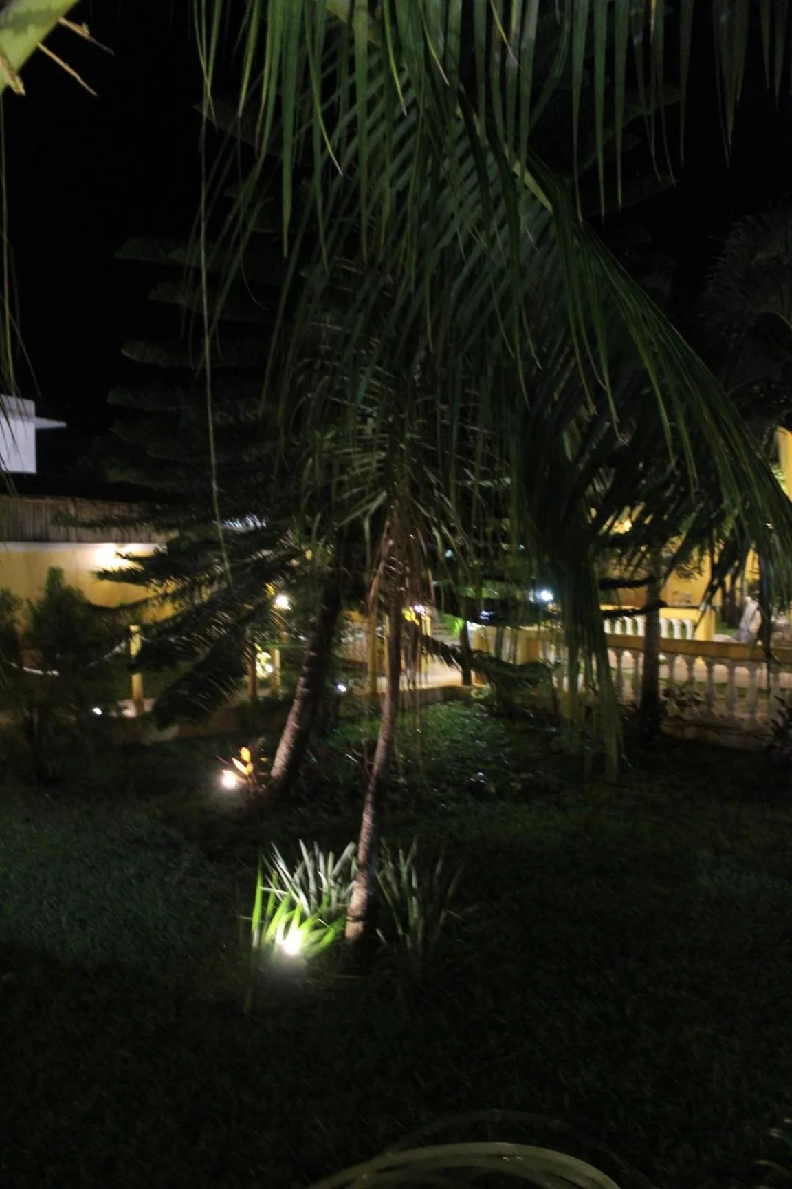 Garden in Hotel Scarlette
