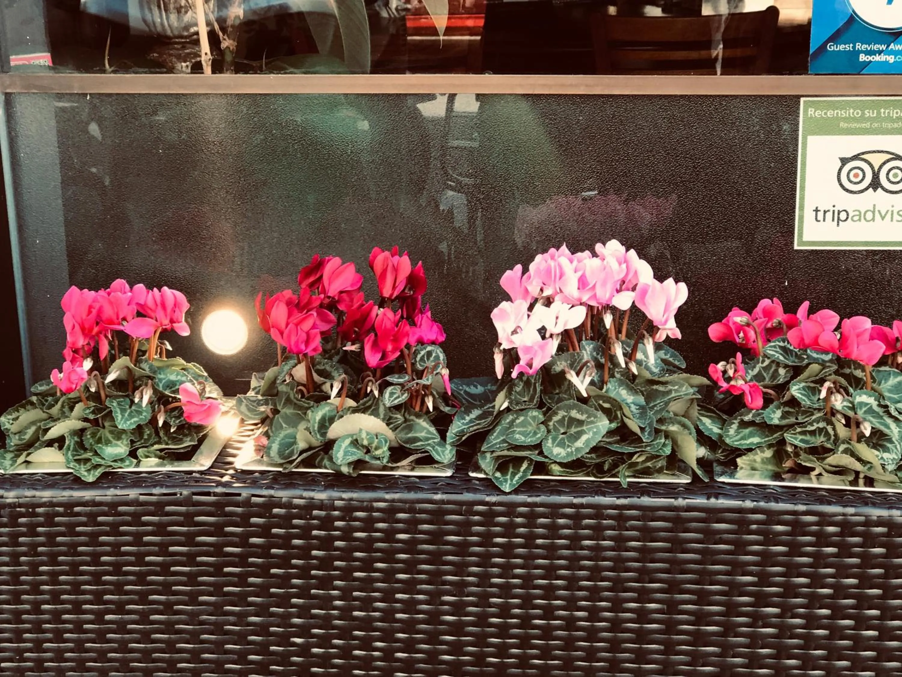 Lobby or reception in Alberghino B&B