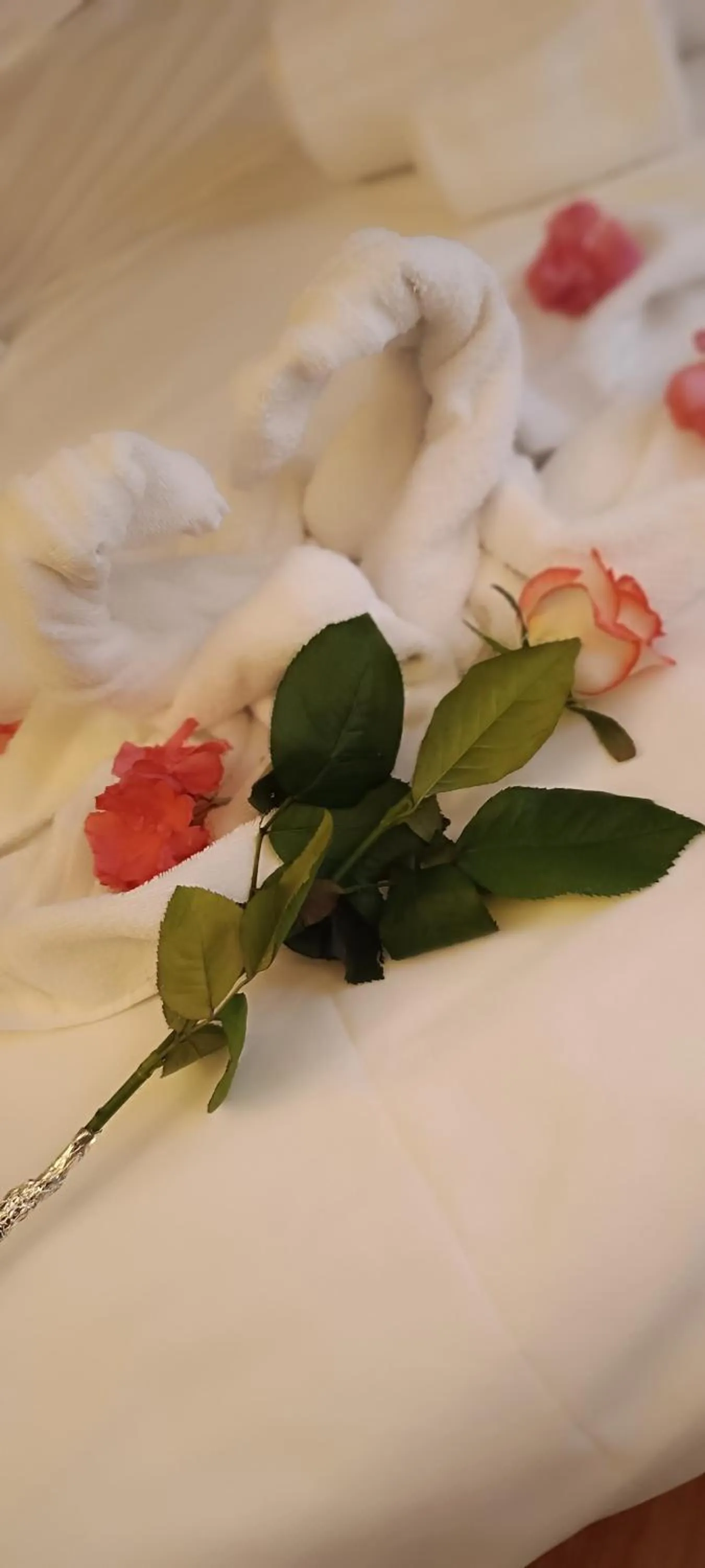 Bedroom, Bed in DCBoutiqueHotel