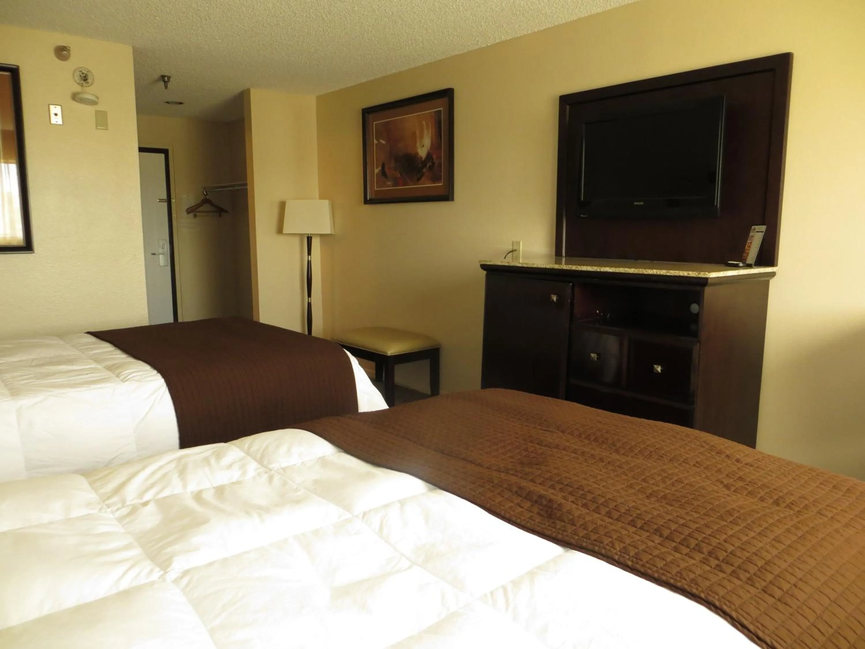 TV and multimedia, Bed in Longhorn Boulder Highway