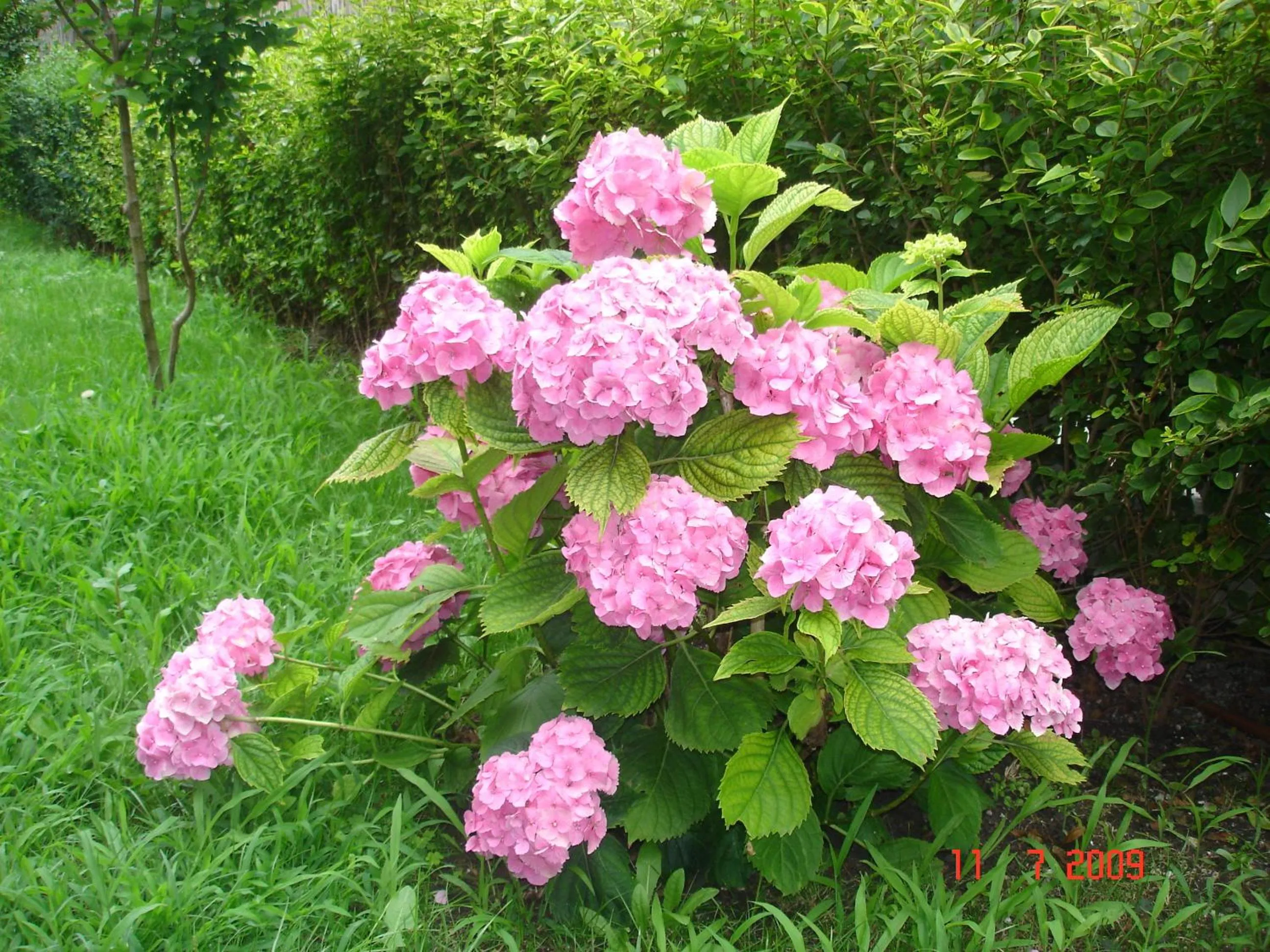 Day in Friends Family Hotel