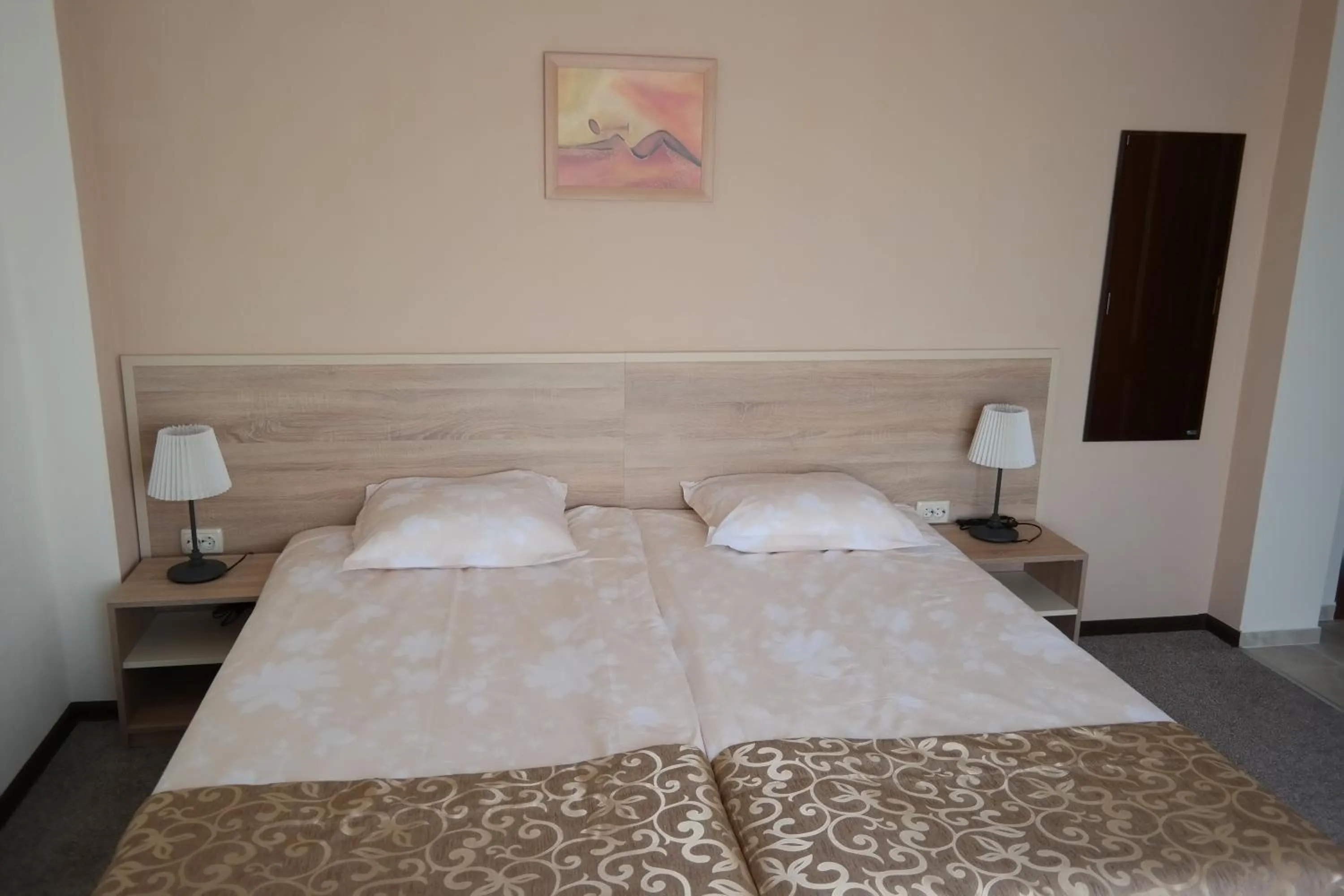 Photo of the whole room in Friends Family Hotel