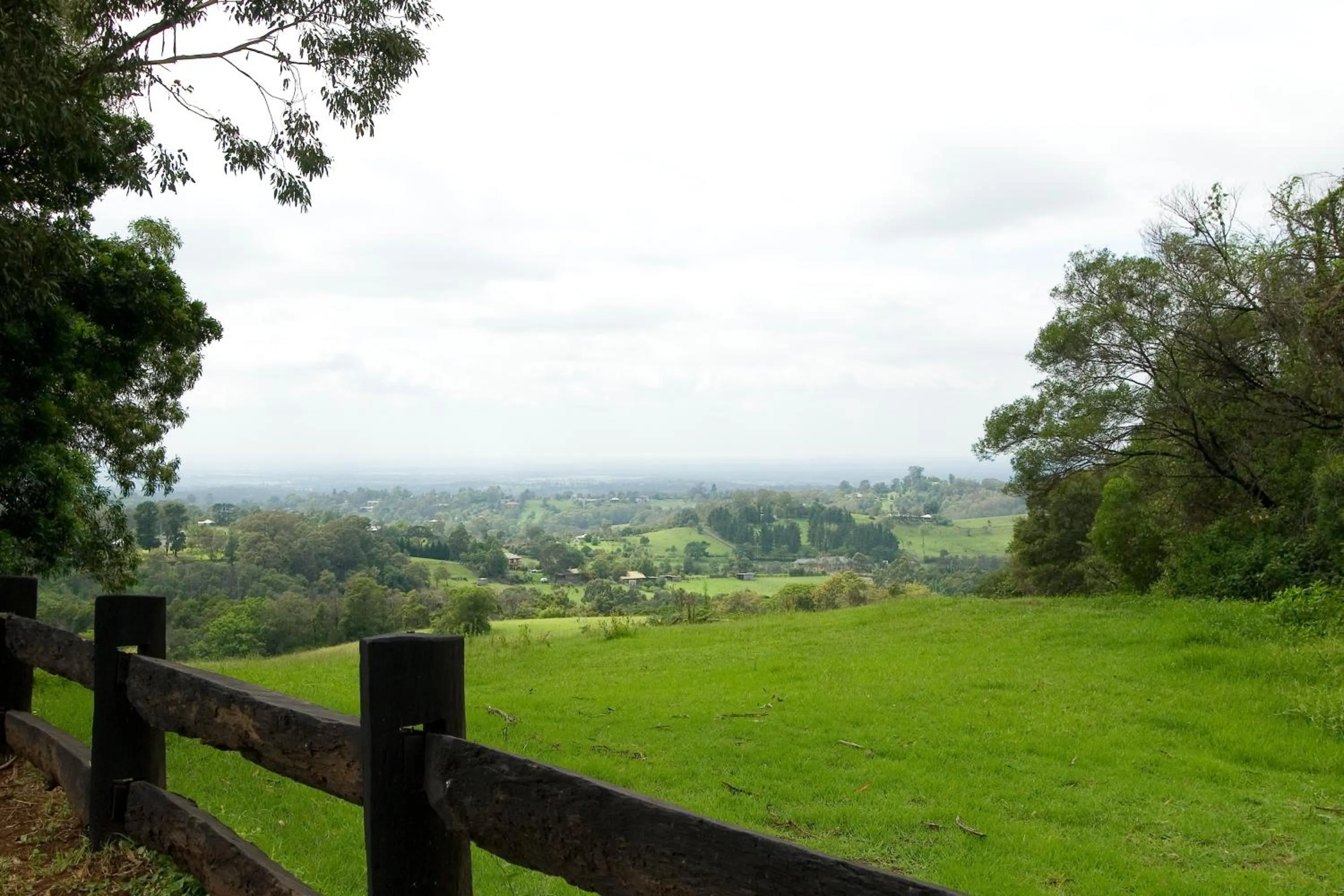 Natural landscape in Loxley On Bellbird Hill