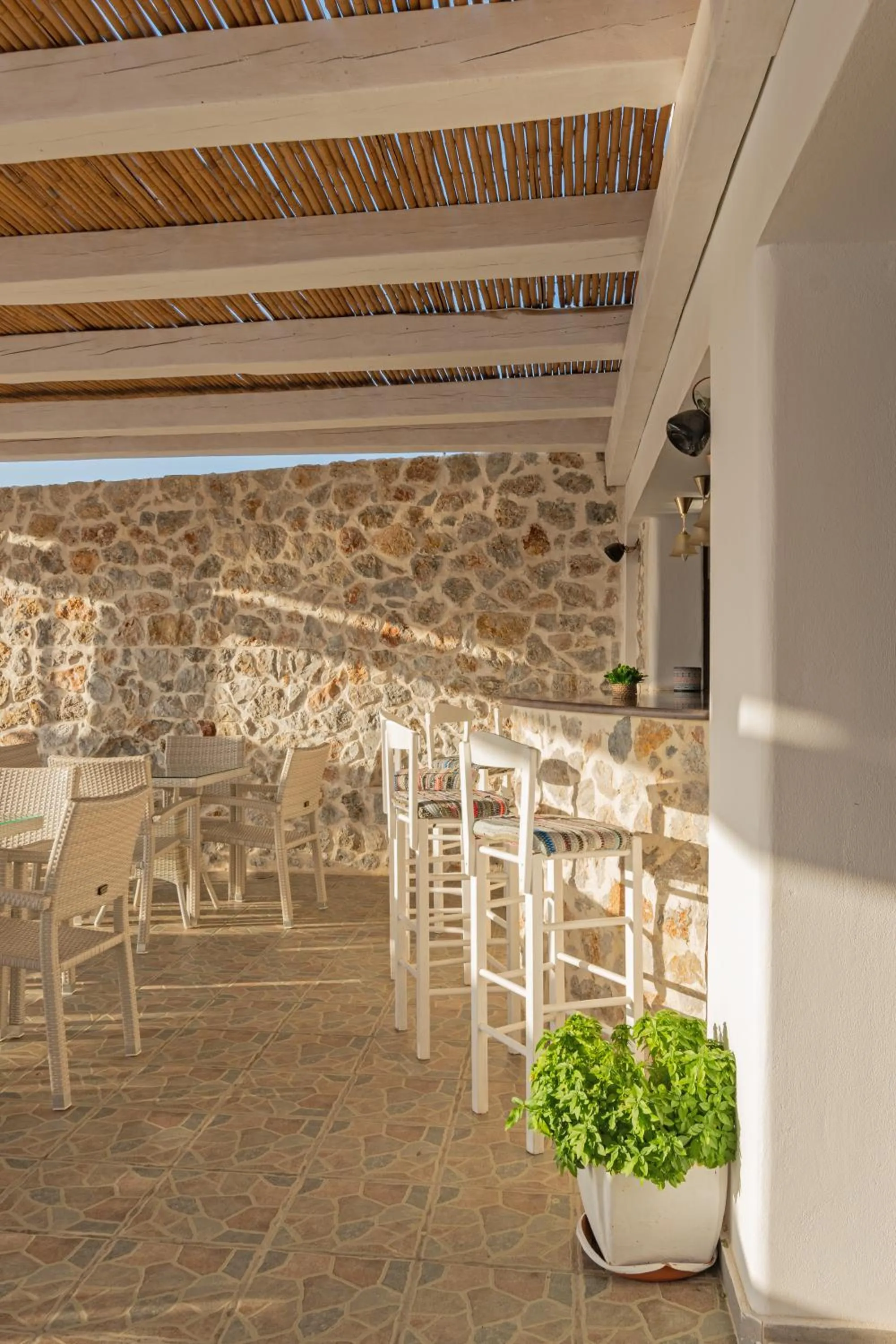 Restaurant/places to eat in Hotel Castillio