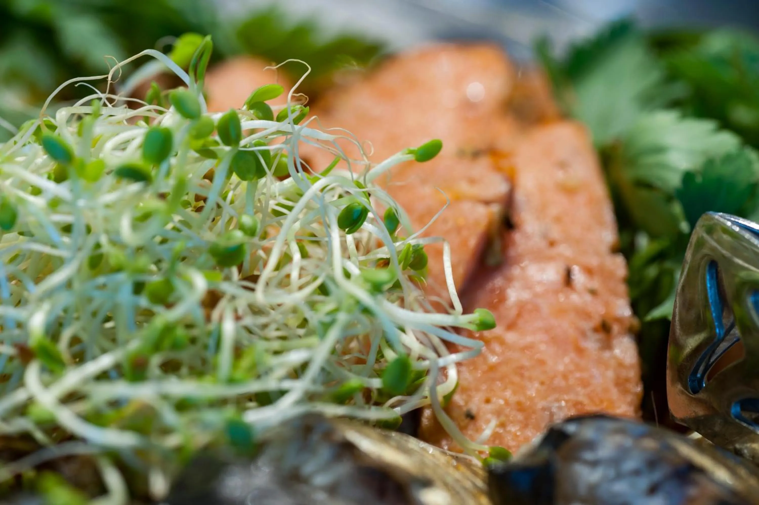 Food in Strand Fjordmotel