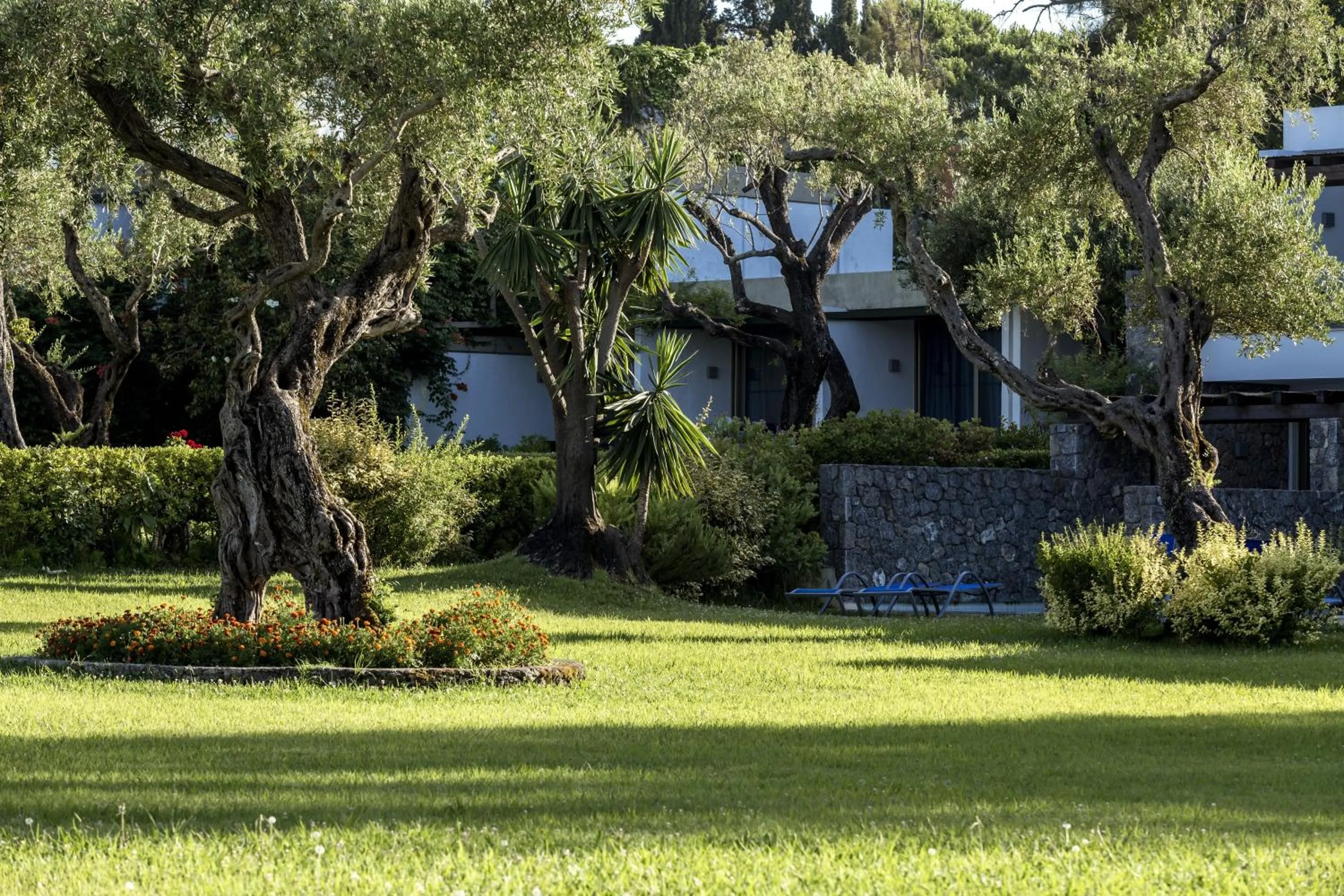 Garden in Kontokali Bay Resort & Spa