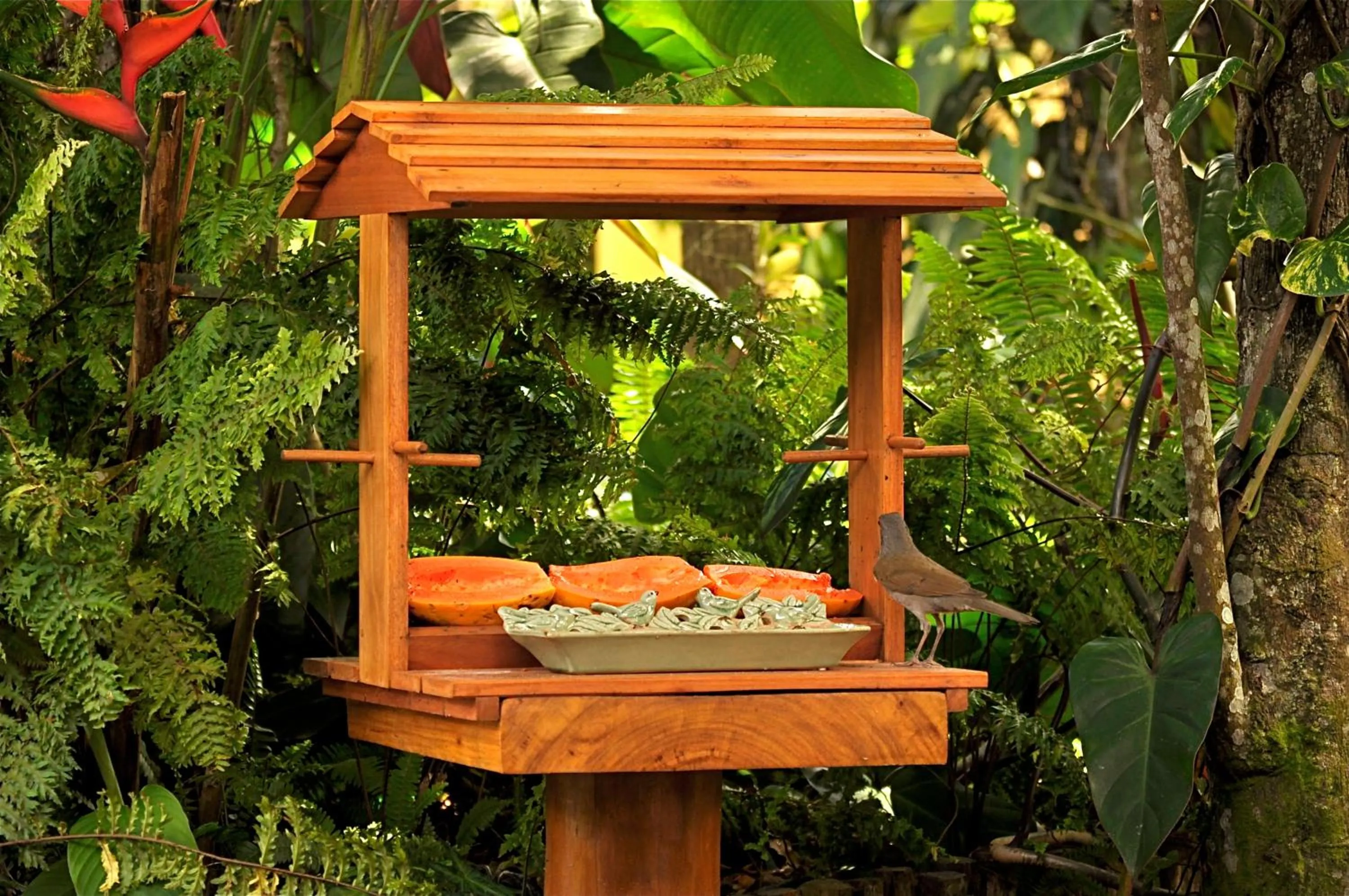 Facade/entrance in Pousada Quarto Crescente