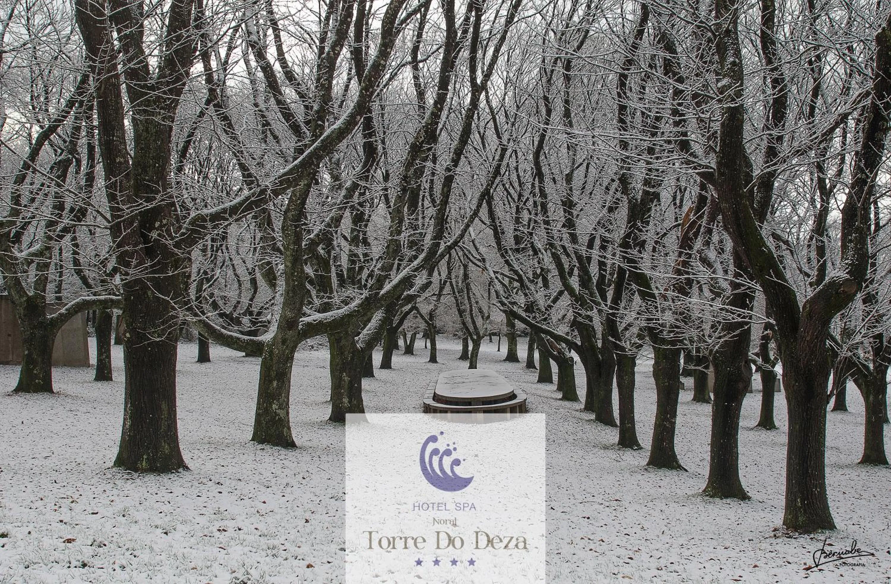 Winter in Hotel Spa Norat Torre Do Deza 4* Superior