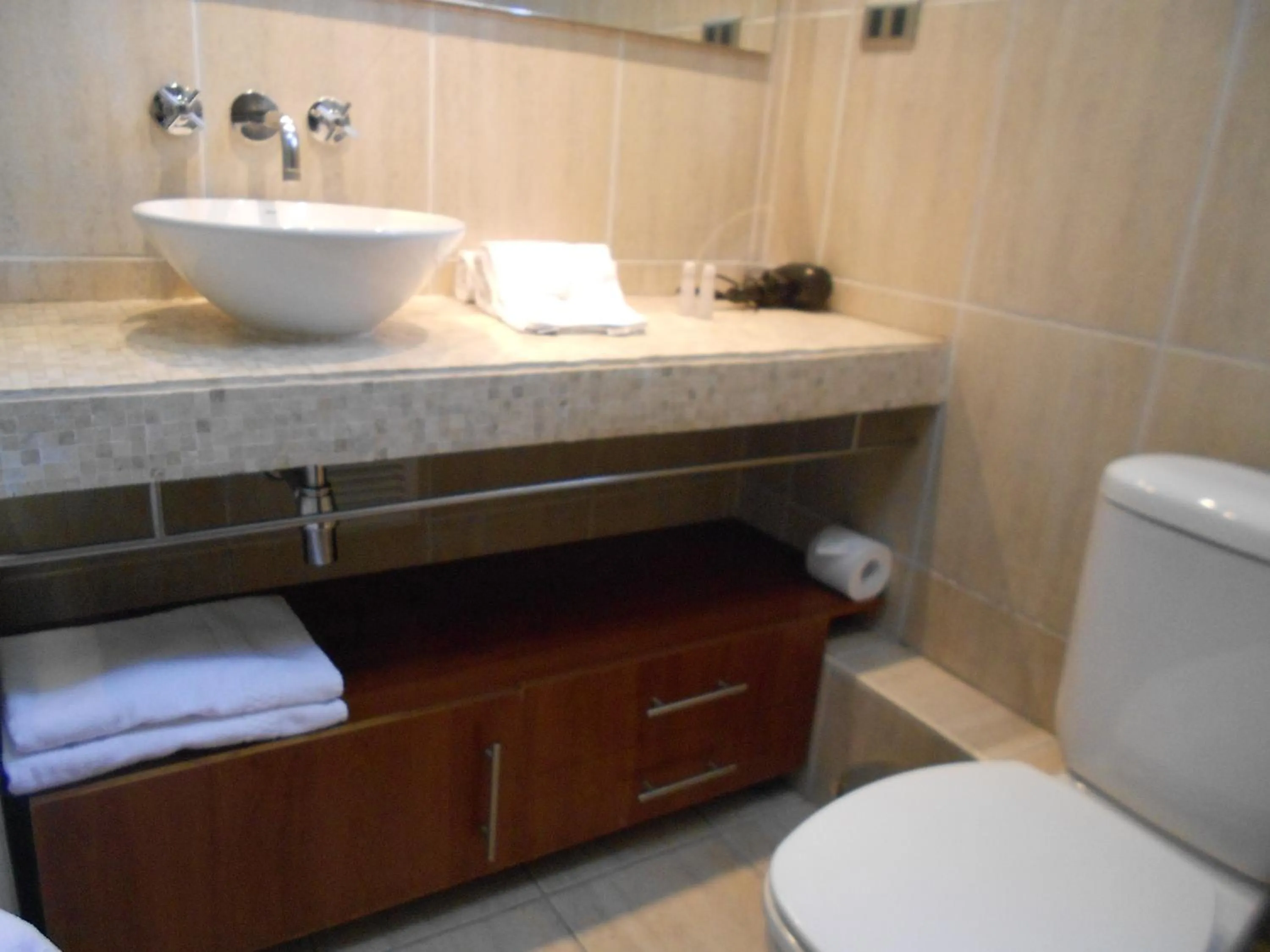 Bathroom in Andes Suites