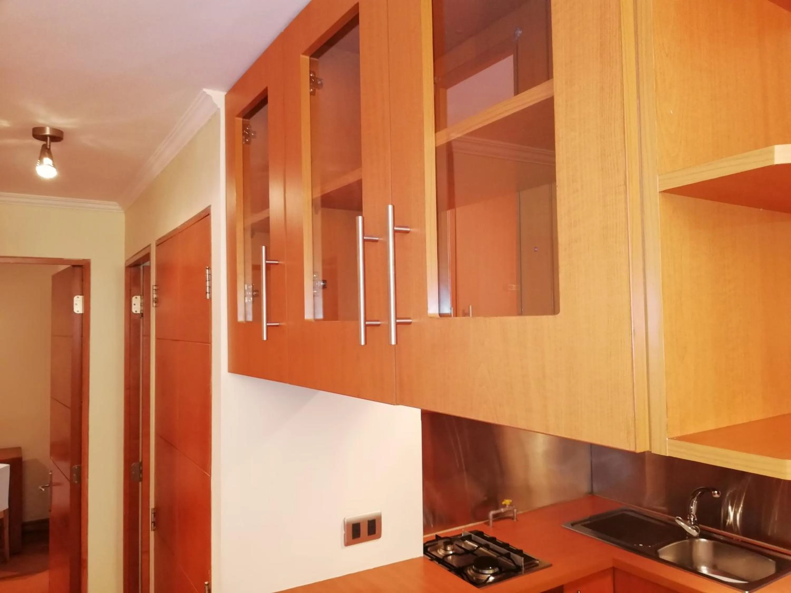 Kitchen or kitchenette in Andes Suites