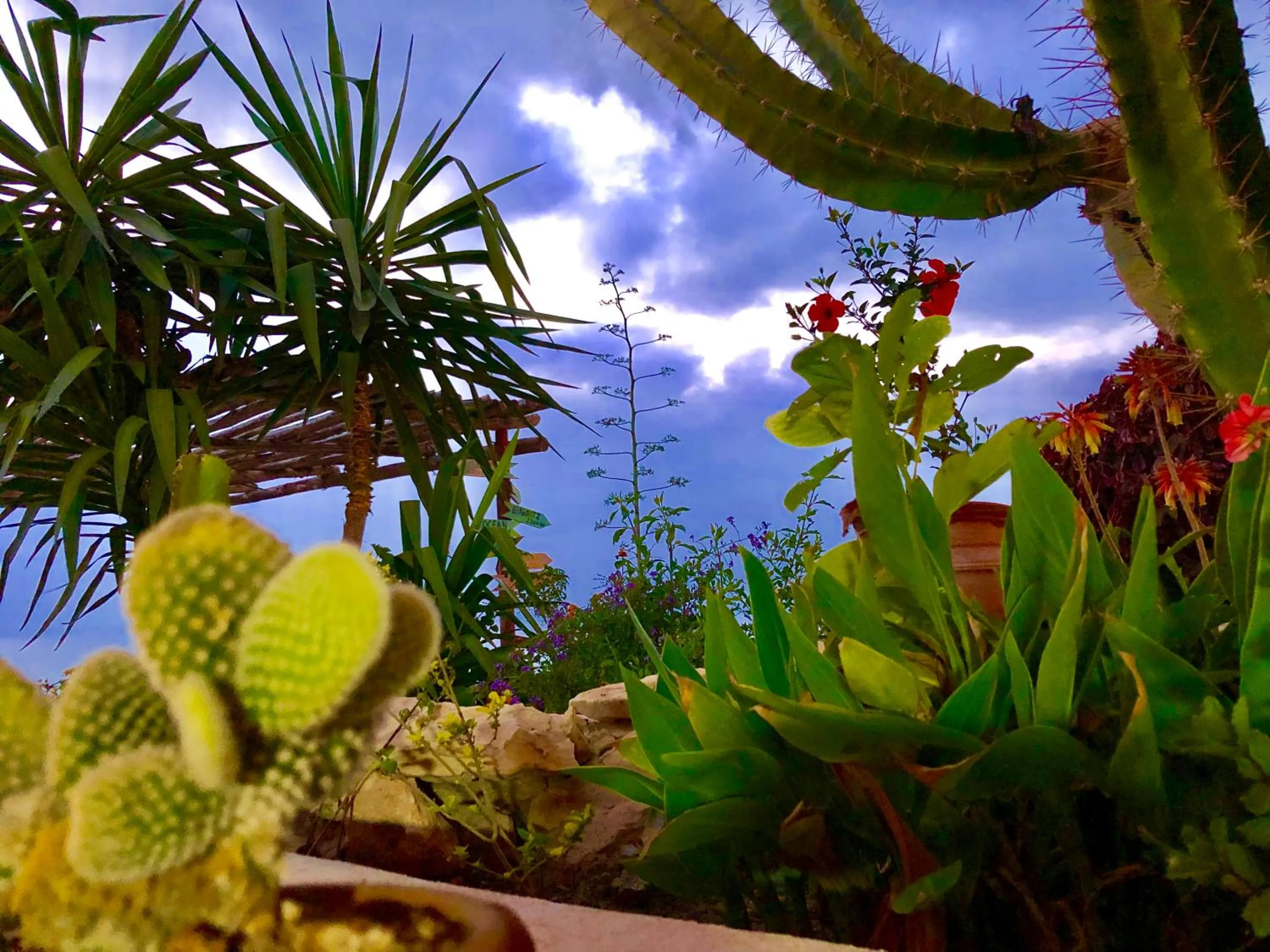 Garden in Villa Jardin De l'Ocean