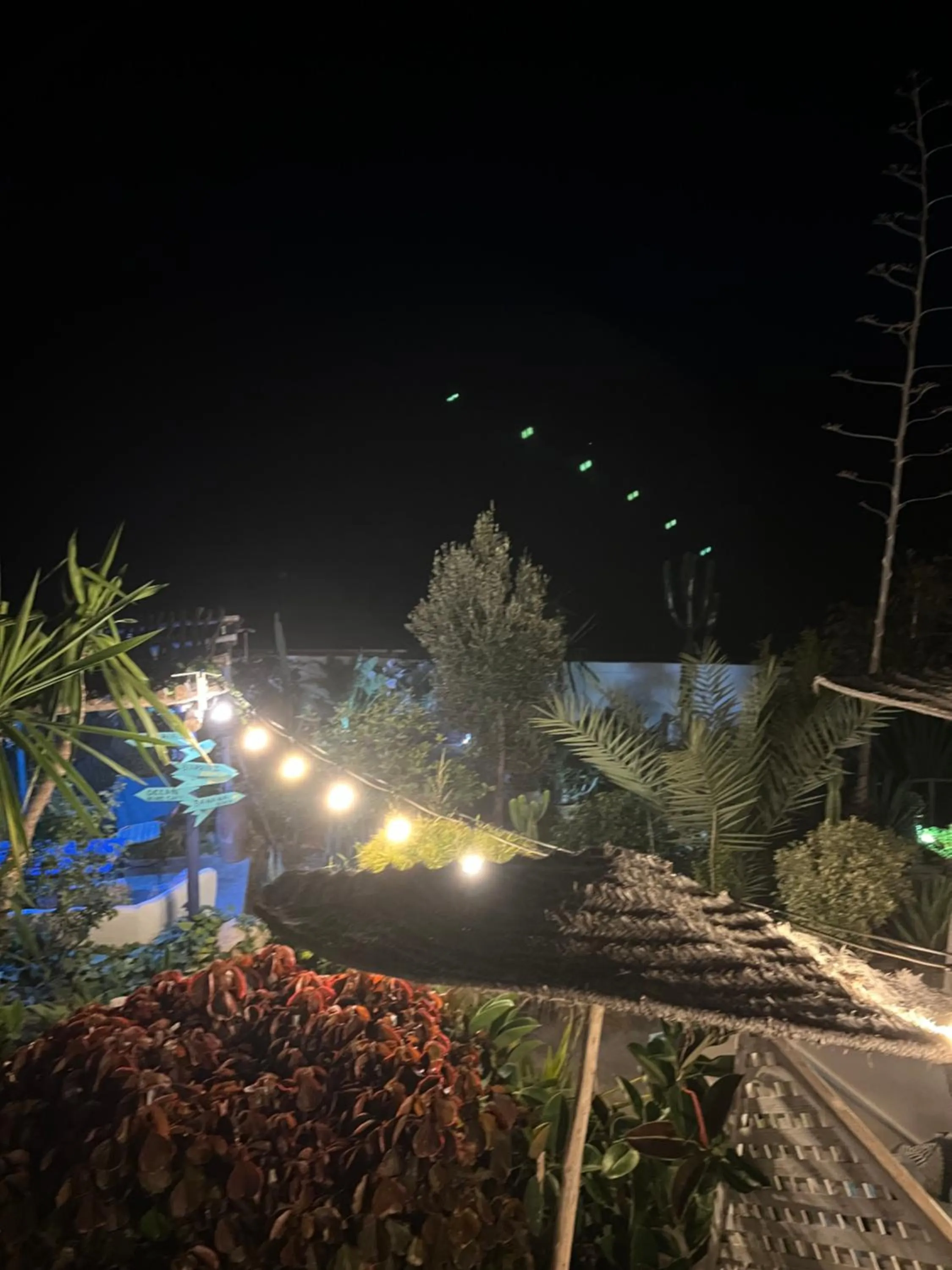 Garden in Villa Jardin De l'Ocean