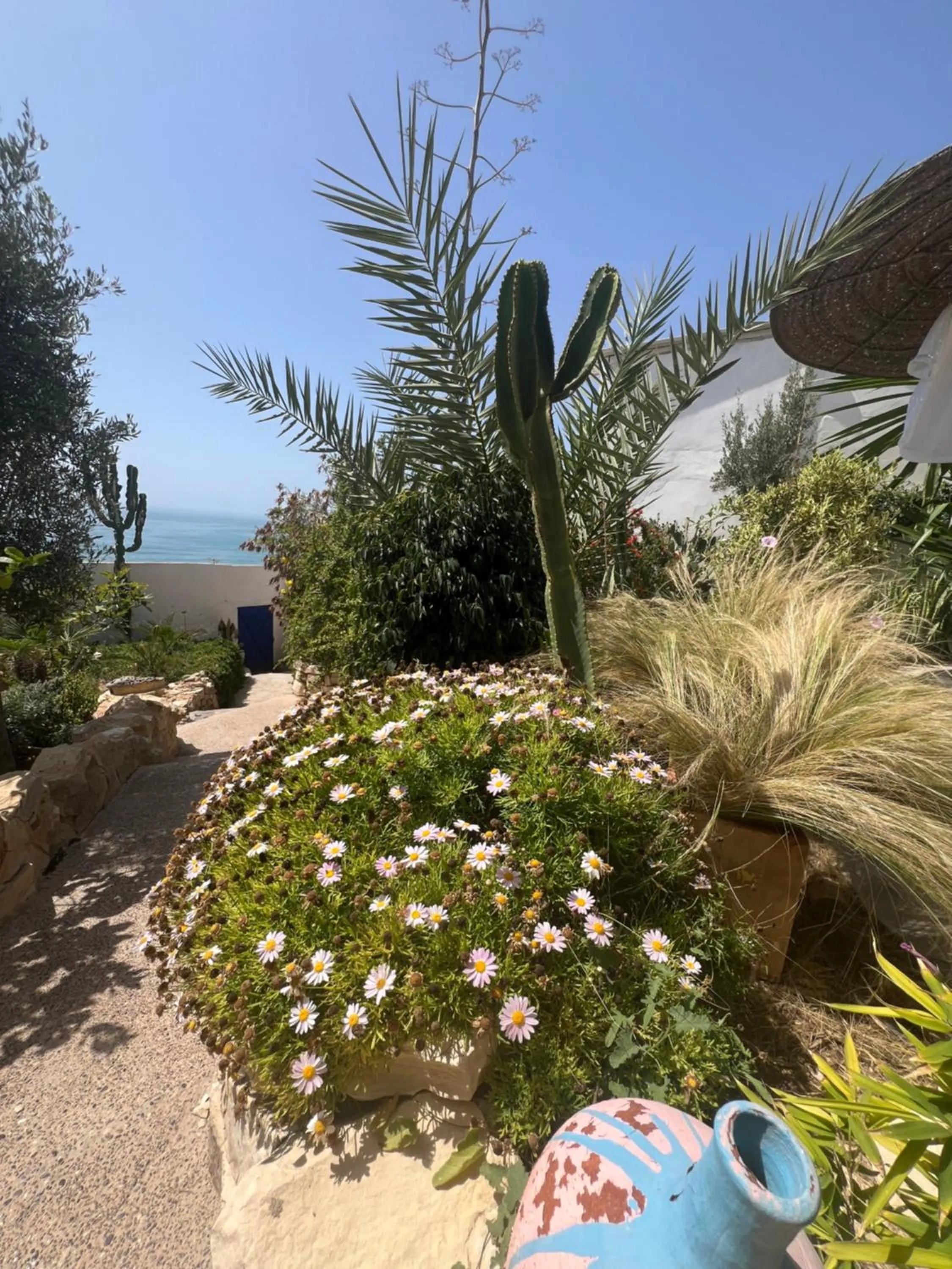 Garden in Villa Jardin De l'Ocean