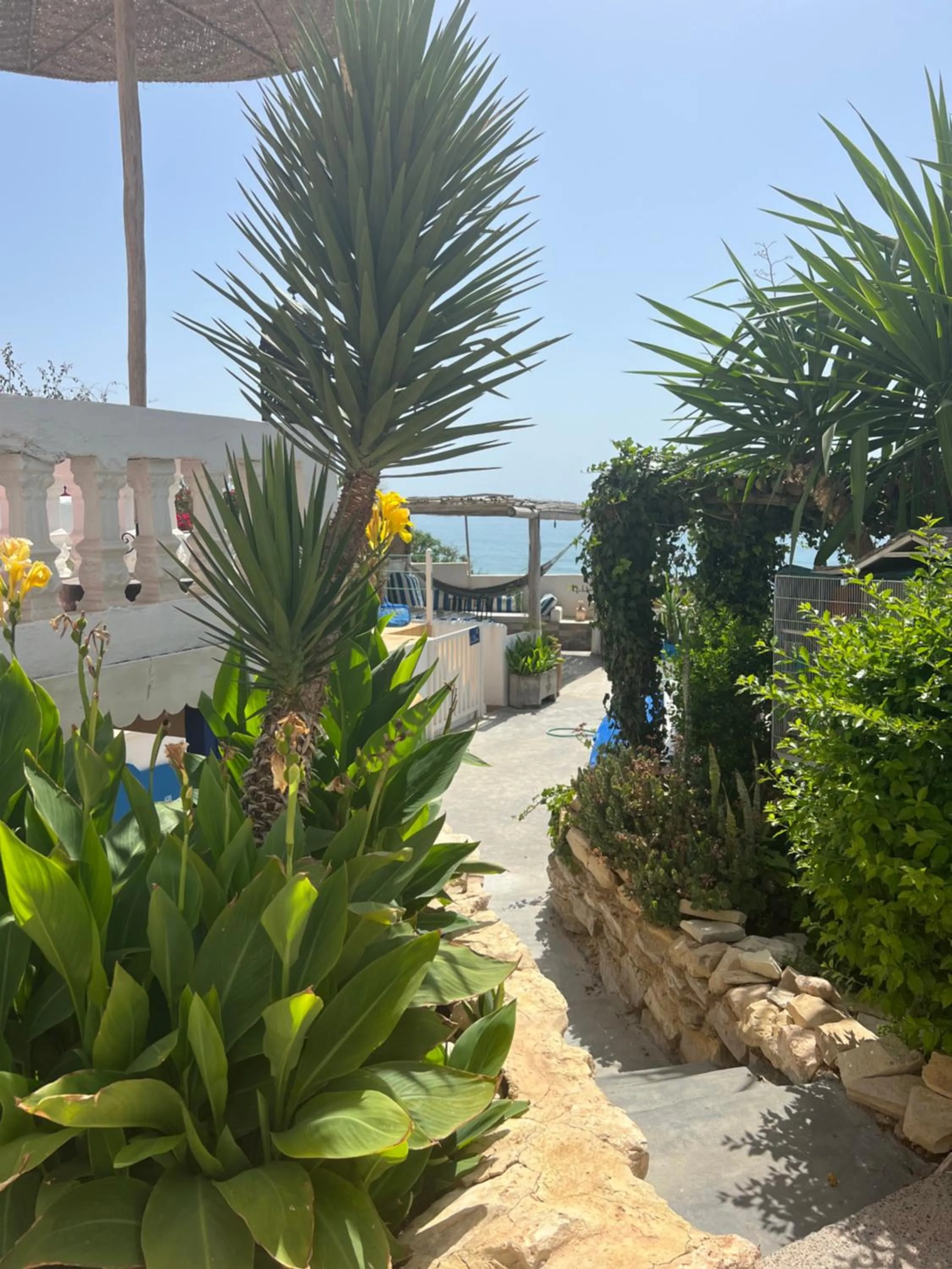 Garden in Villa Jardin De l'Ocean