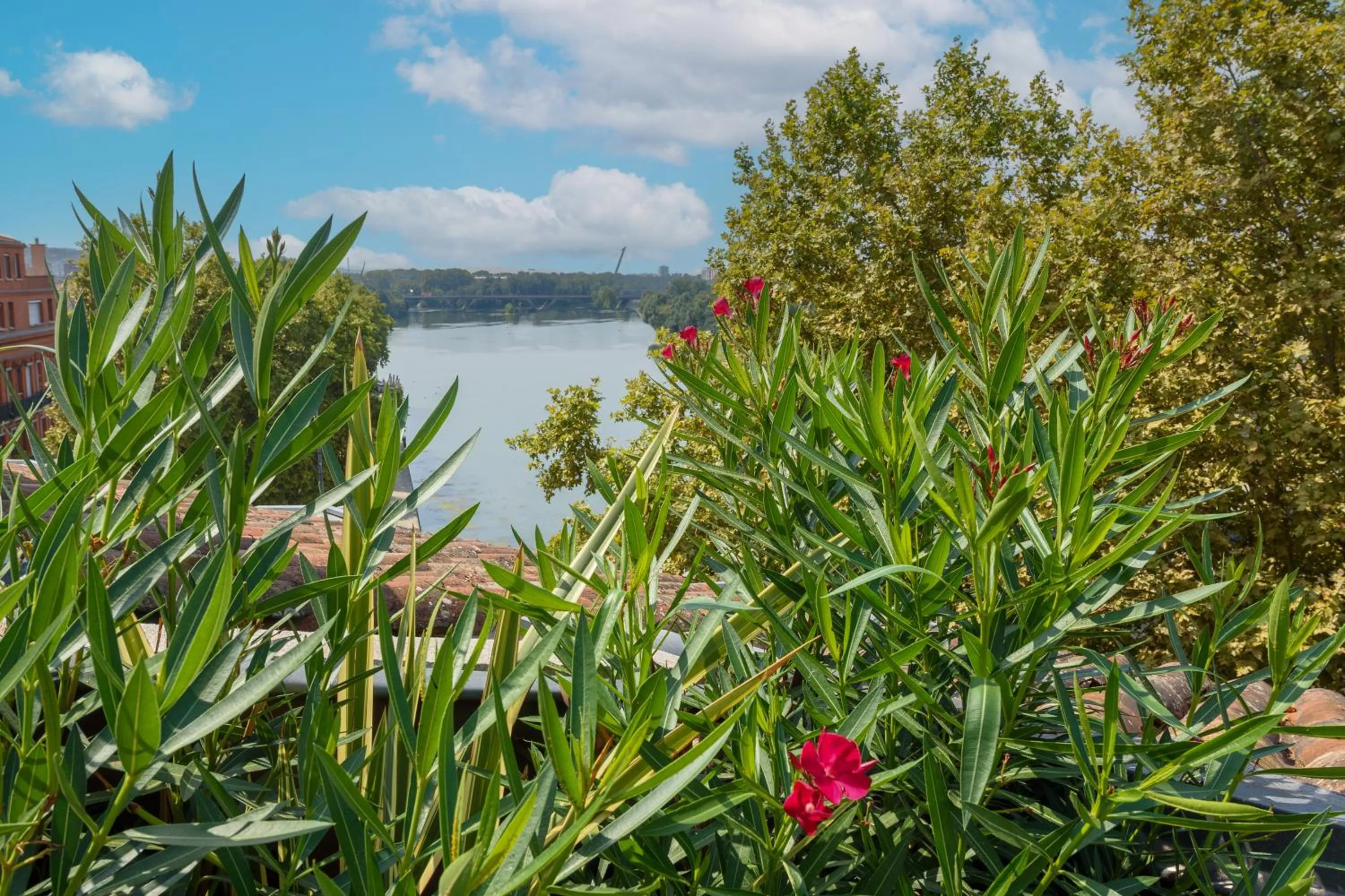 Patio in Hôtel des Beaux-Arts Toulouse