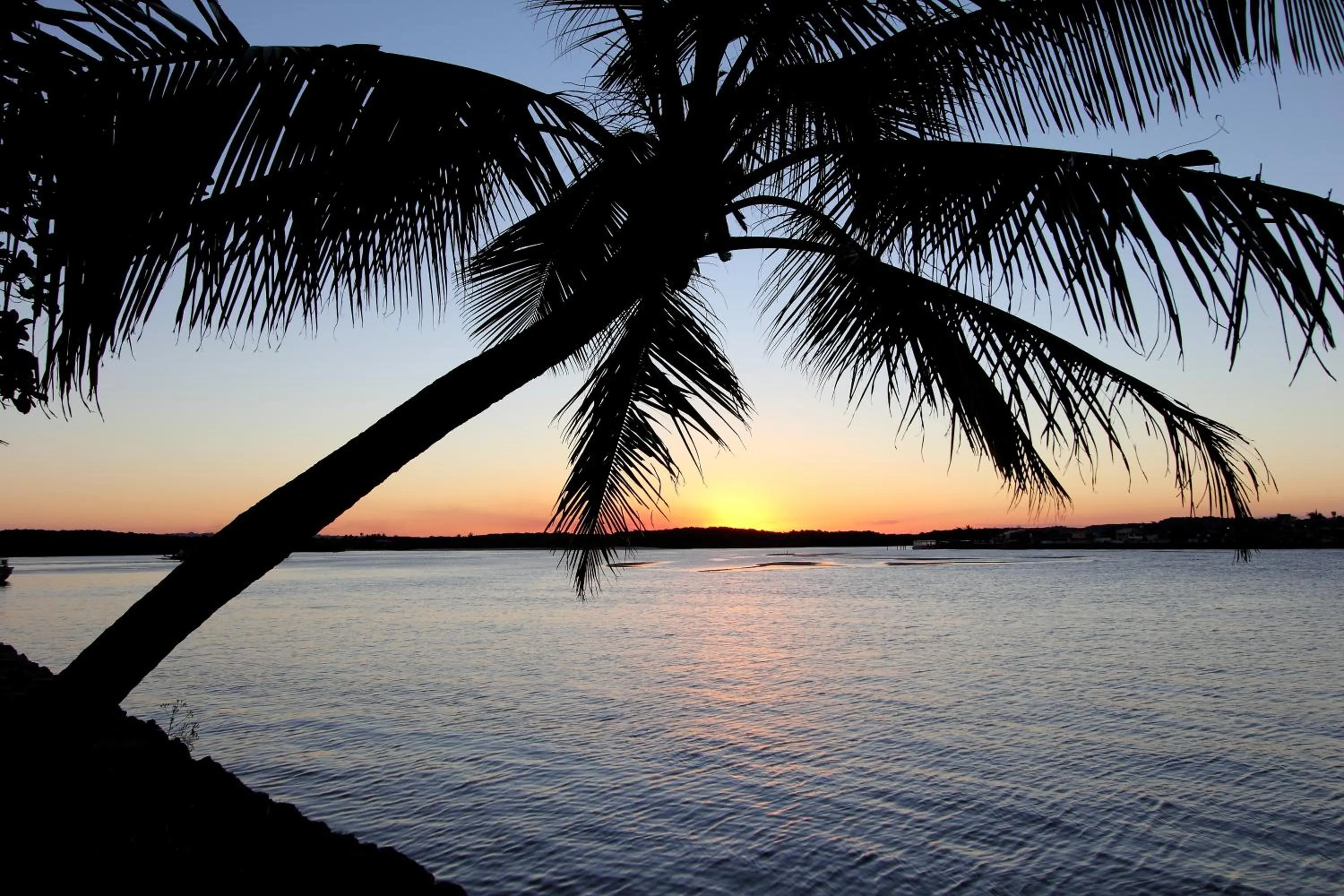 Area and facilities in Arraial D'ajuda Eco Resort