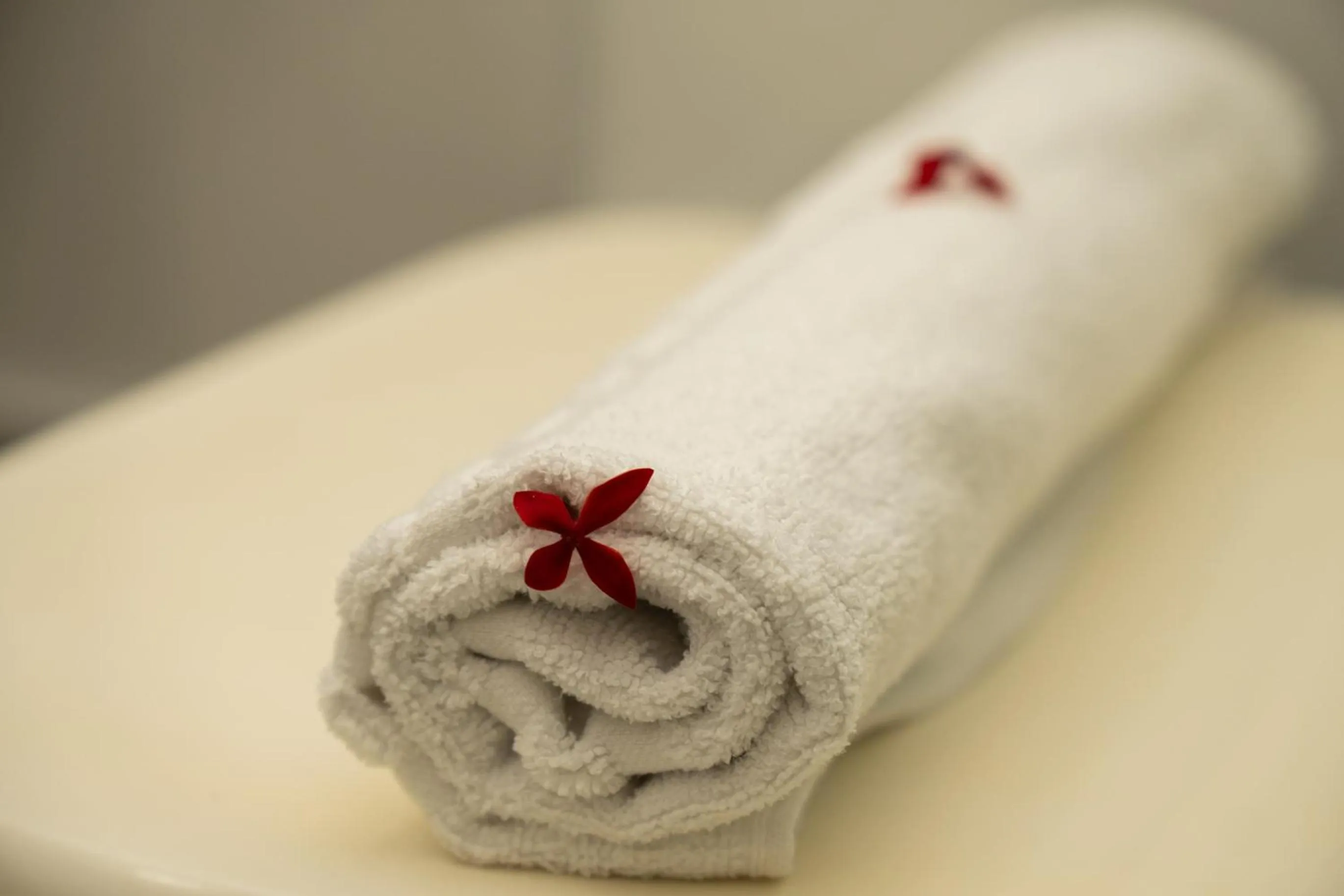 Arraial D'ajuda Eco Resort