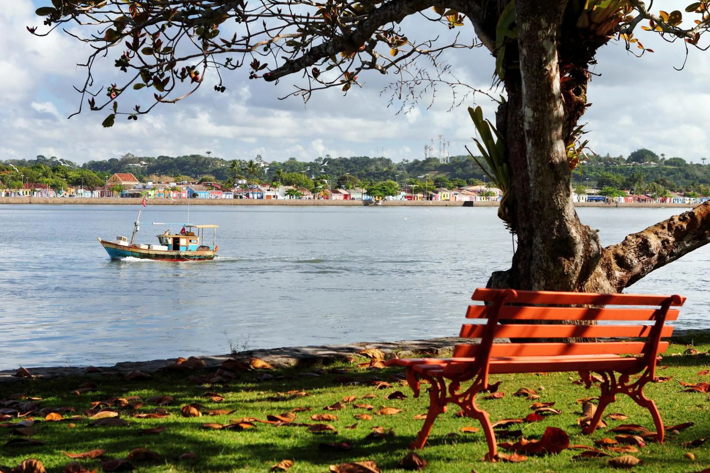 Area and facilities in Arraial D'ajuda Eco Resort
