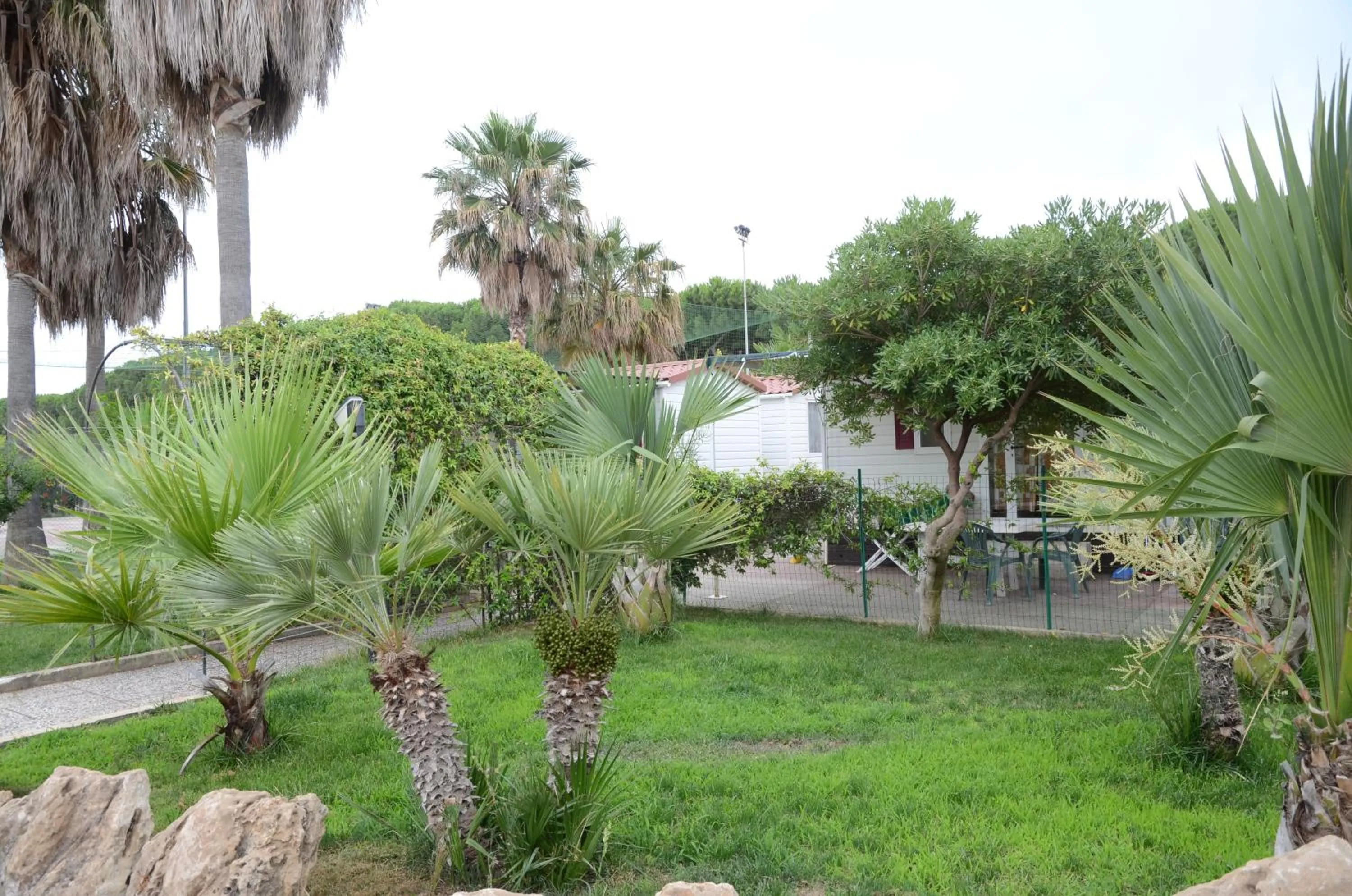 Garden in Kamemi Village & Camping