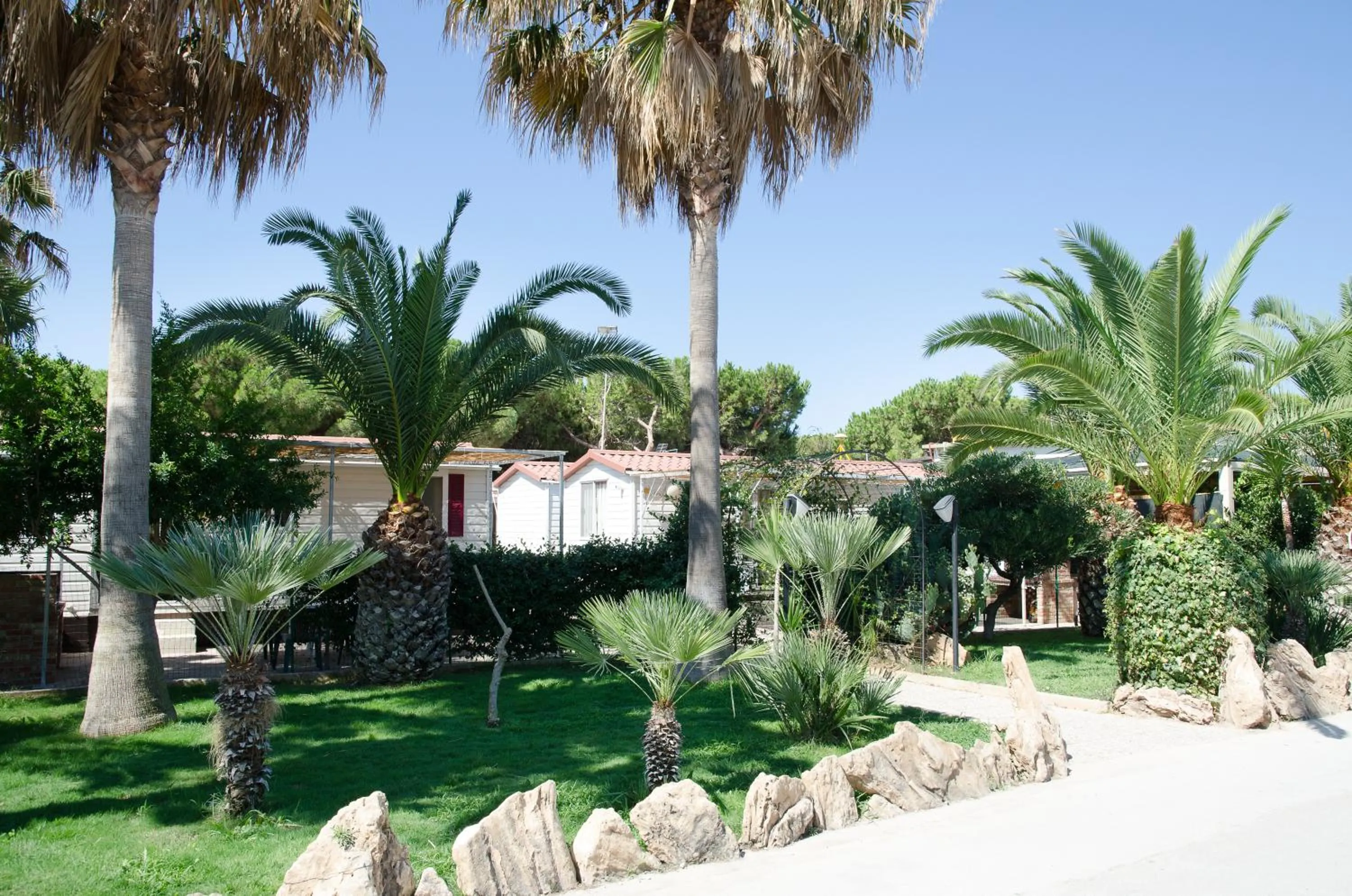 Balcony/Terrace in Kamemi Village & Camping