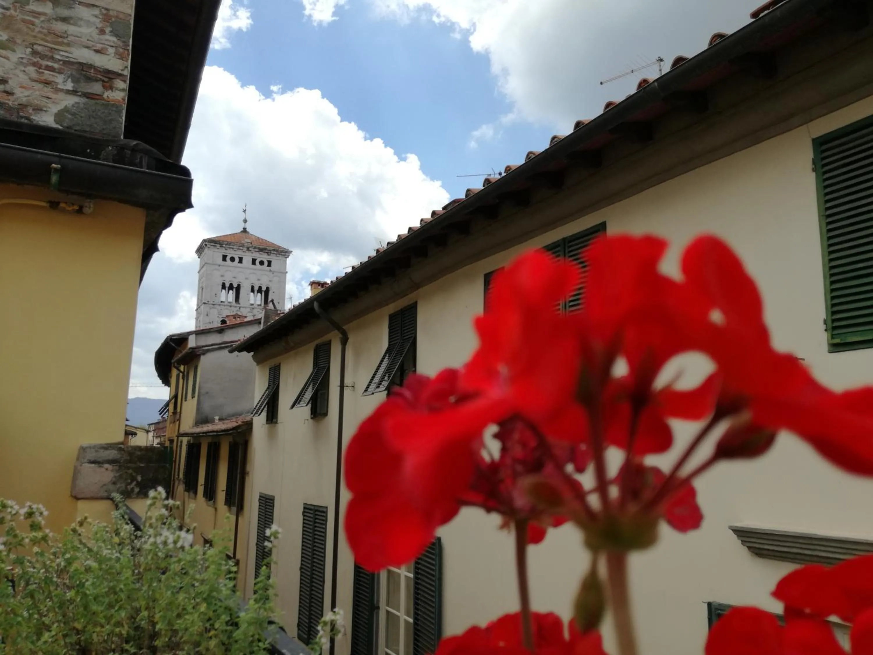 Pietrarosa Apartment