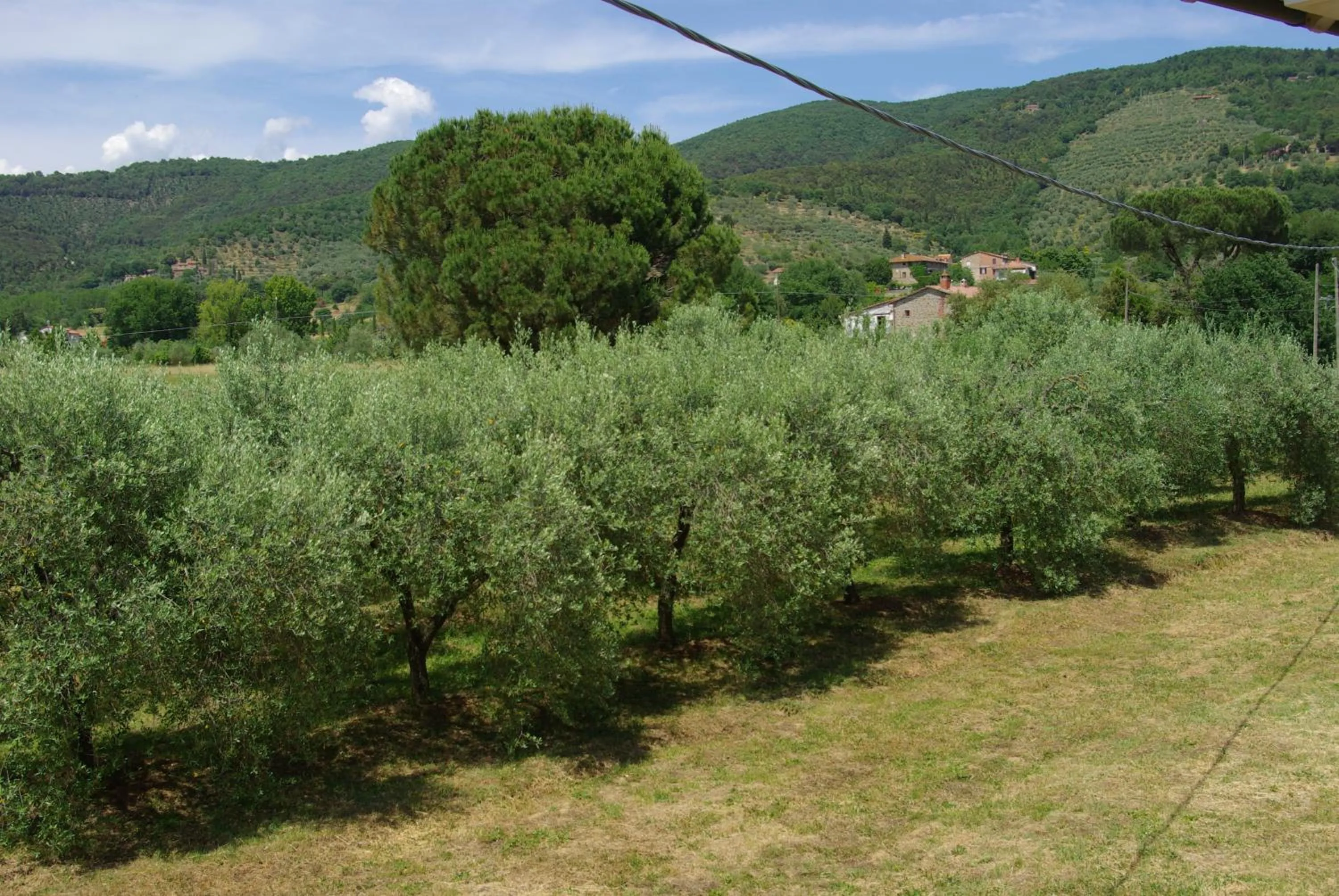 Villa Roccaccia