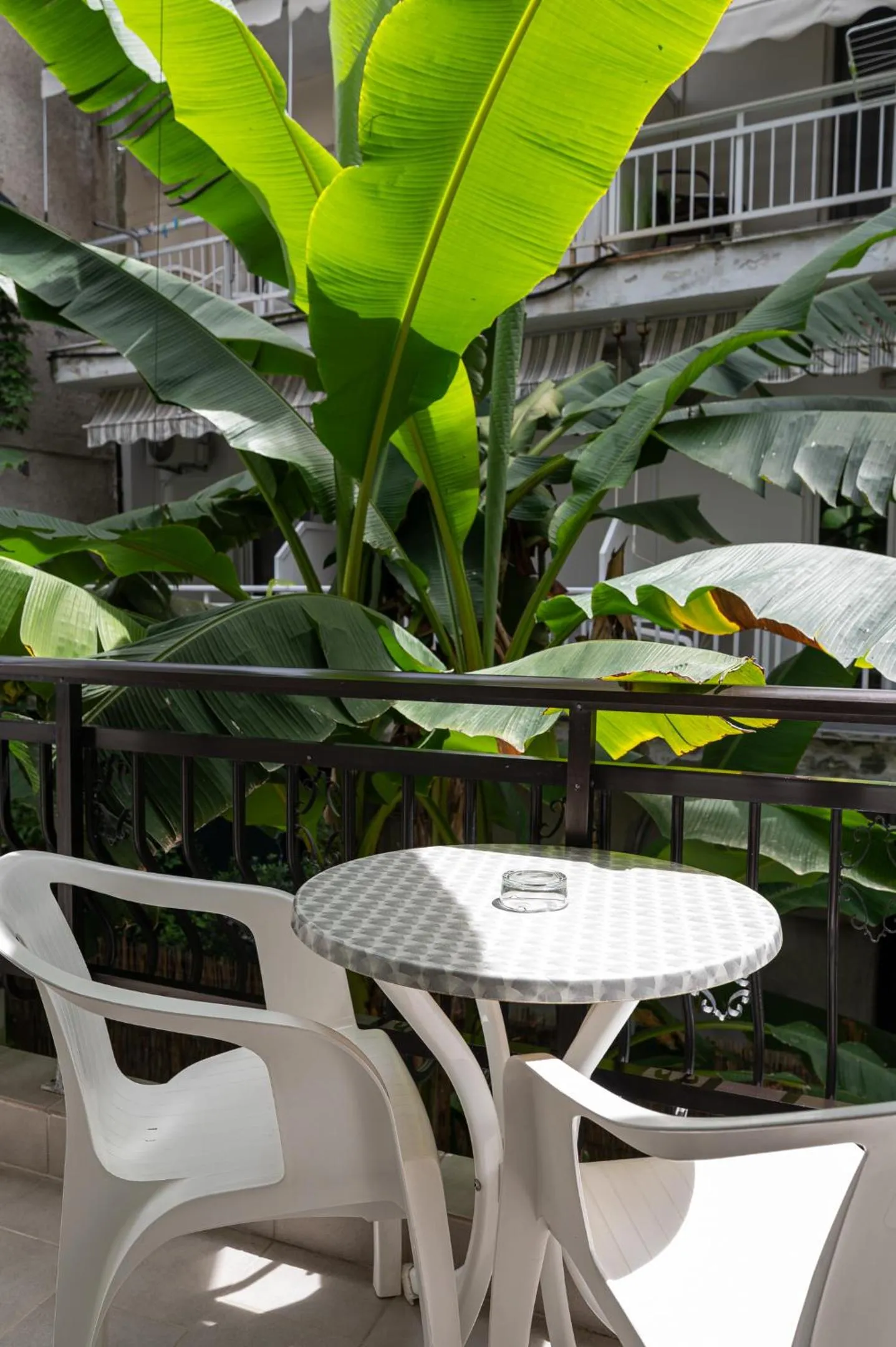 Garden in Hotel Akropol