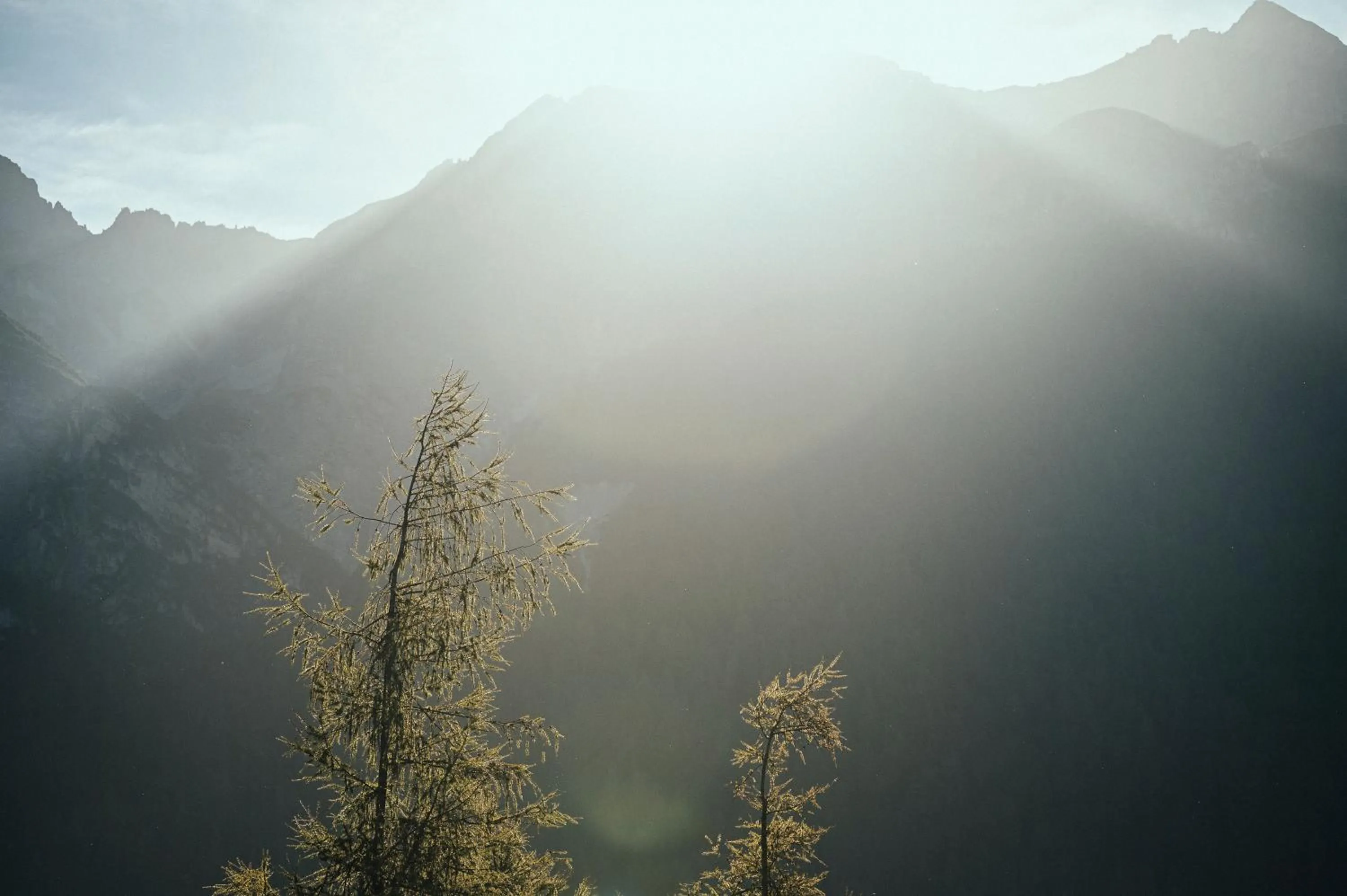 View (from property/room) in Biohotel Rastbichlhof