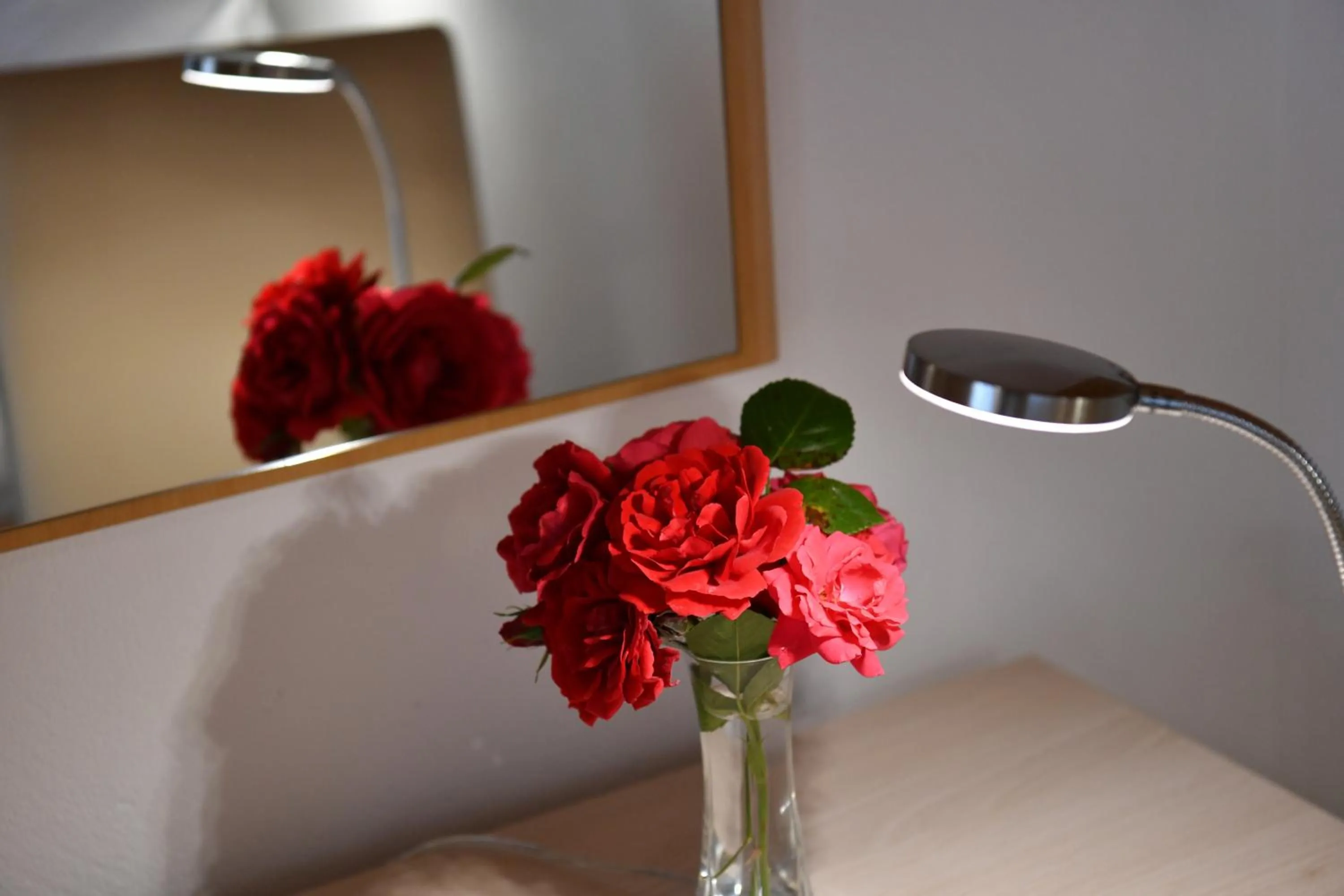 Business facilities in House Marija B&B