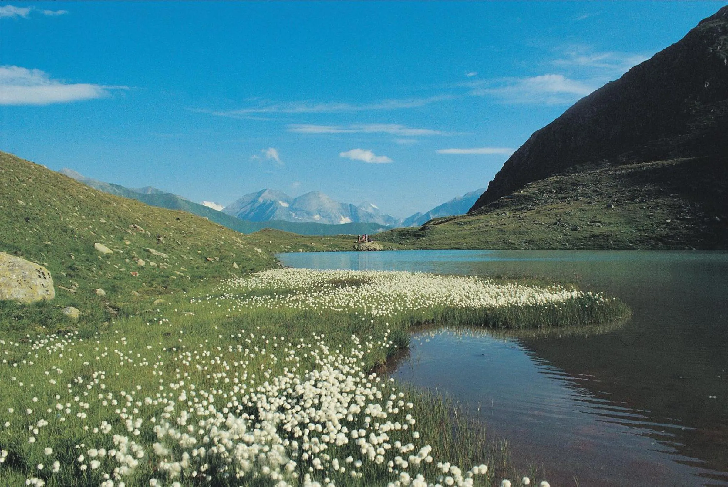 Area and facilities in Hotel Hubertus