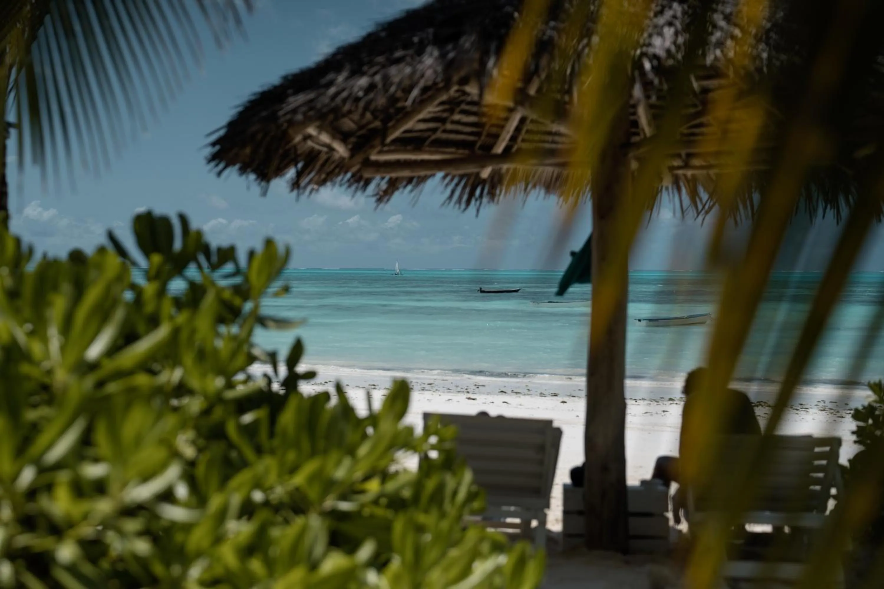 Day in The Loop Beach Resort