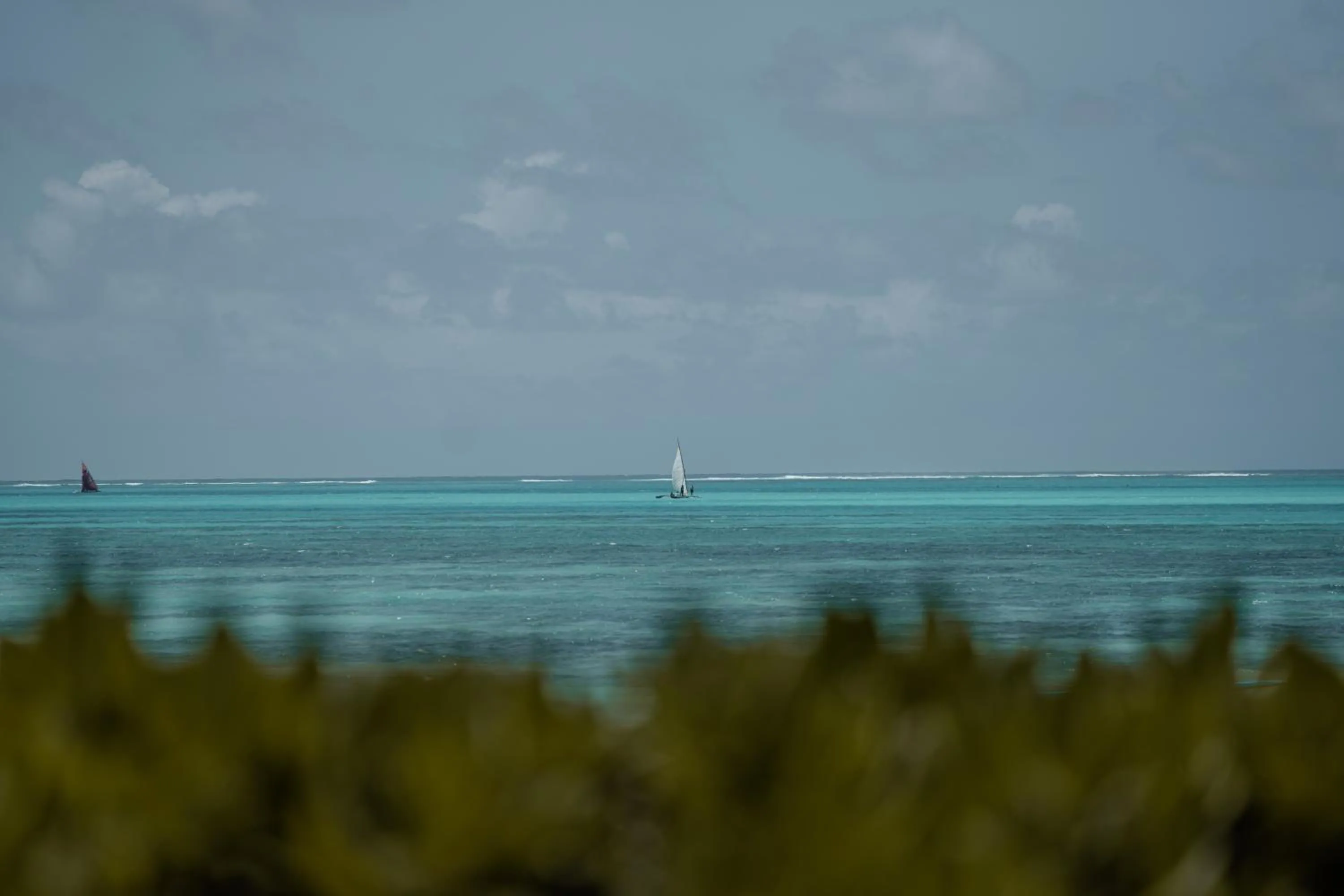 Day in The Loop Beach Resort