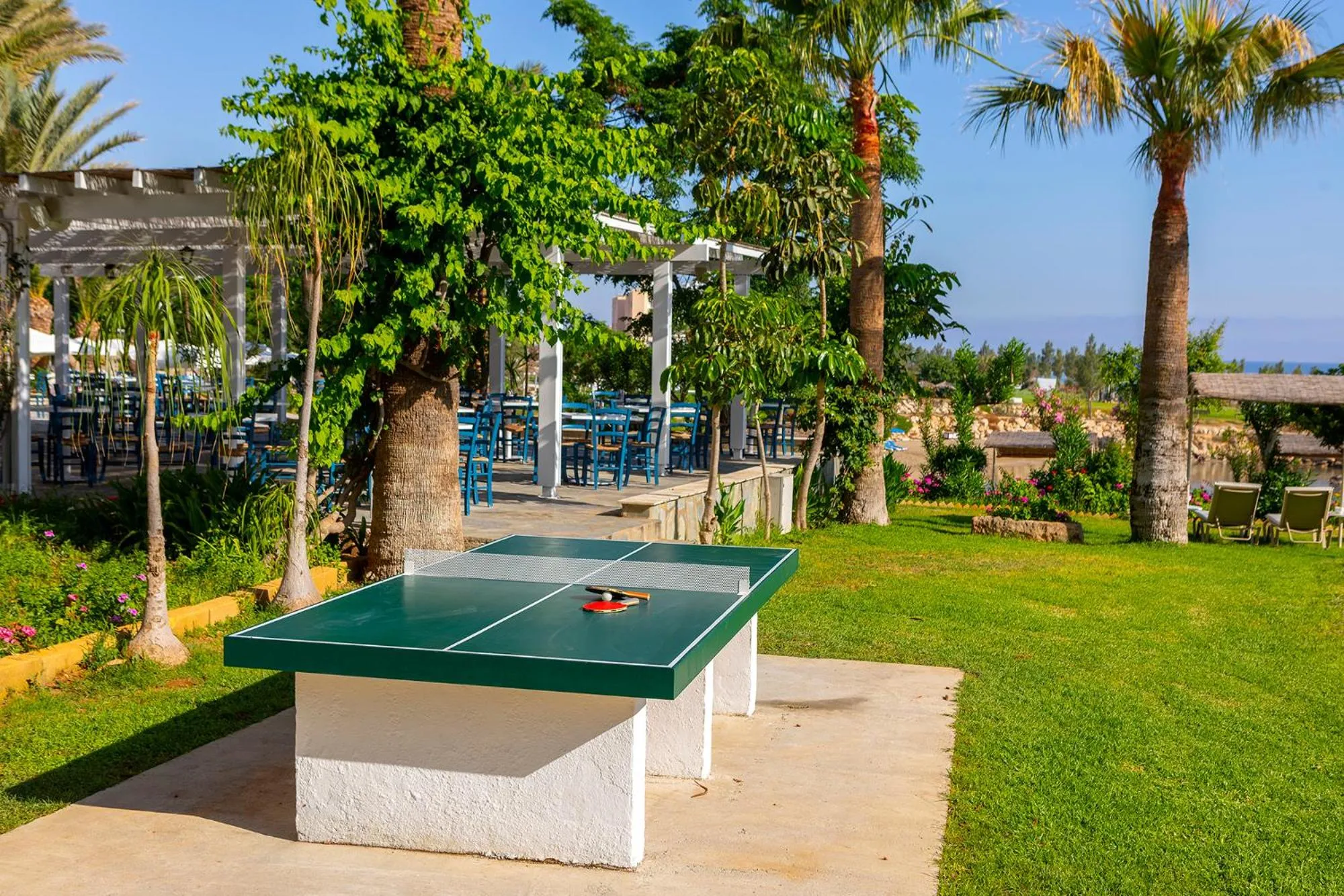 Table tennis in Crystal Springs Beach Hotel