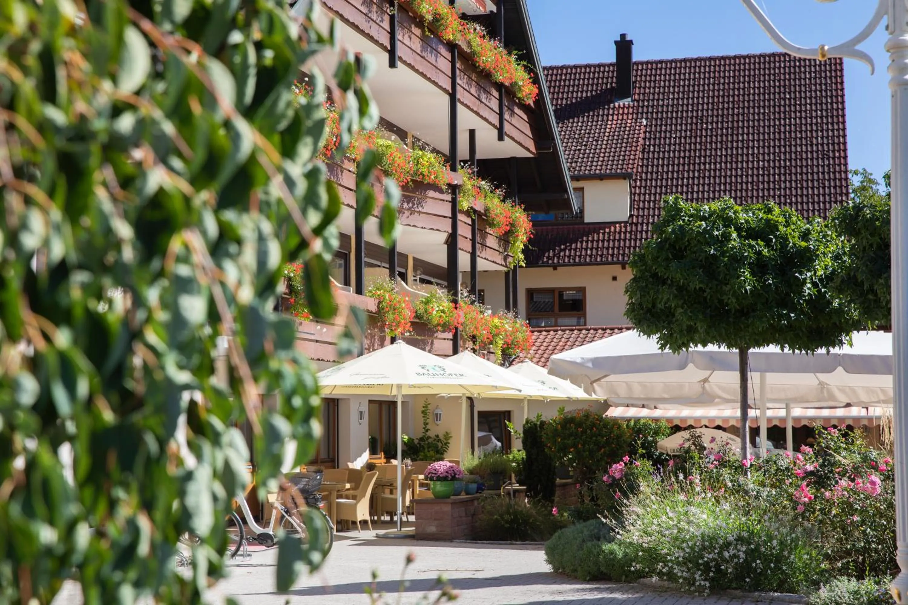 Restaurant/places to eat in Sonnenhof Hotel & Spa