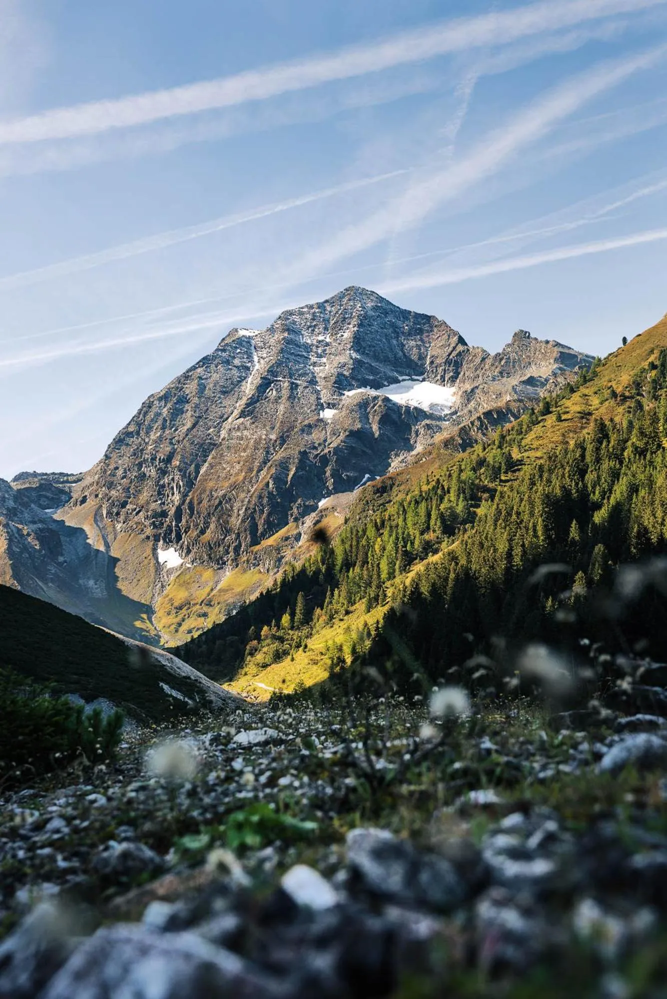 Natural landscape in Hotel Gasteigerhof