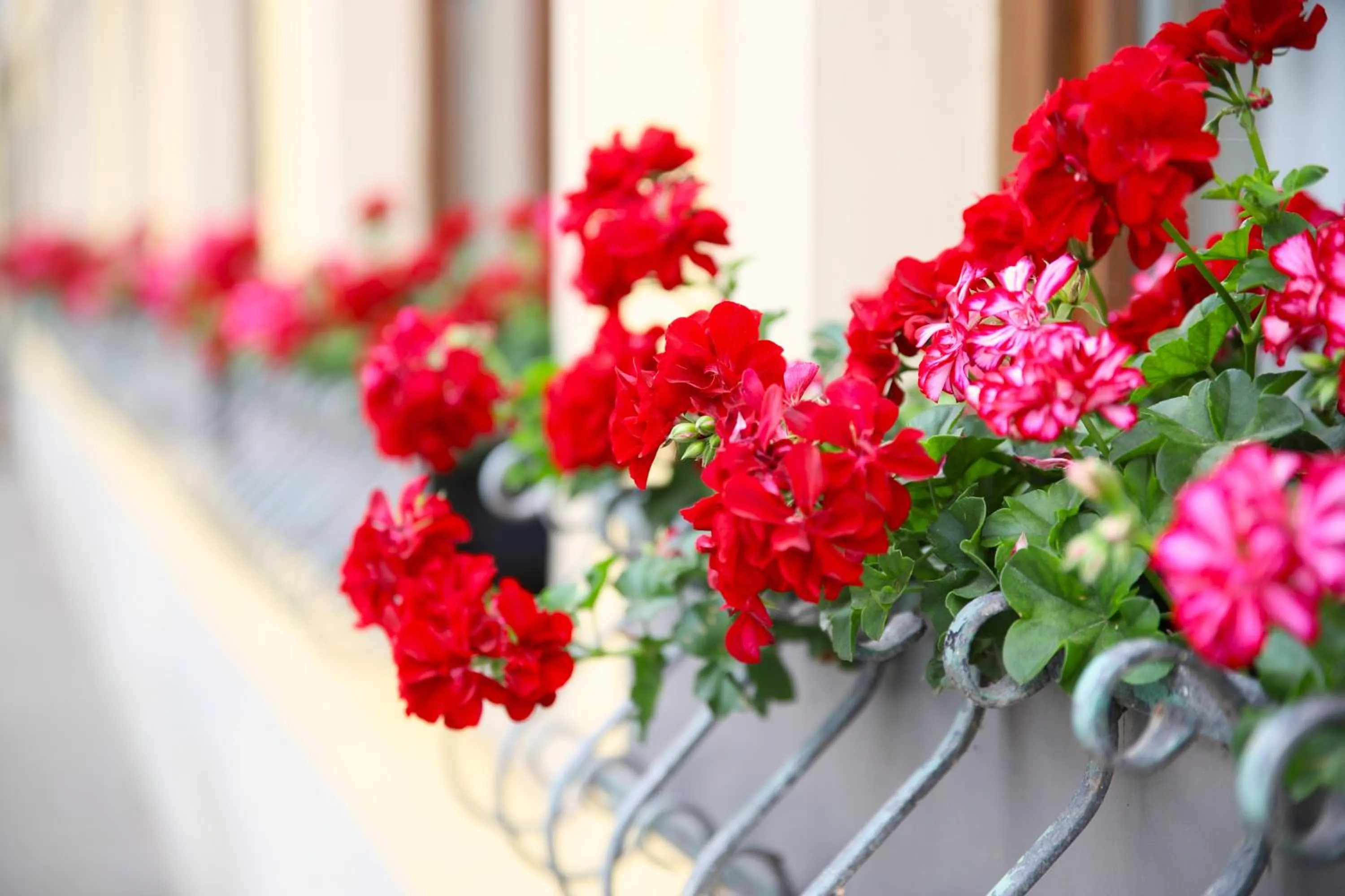 Property building in Hotel zur Isar