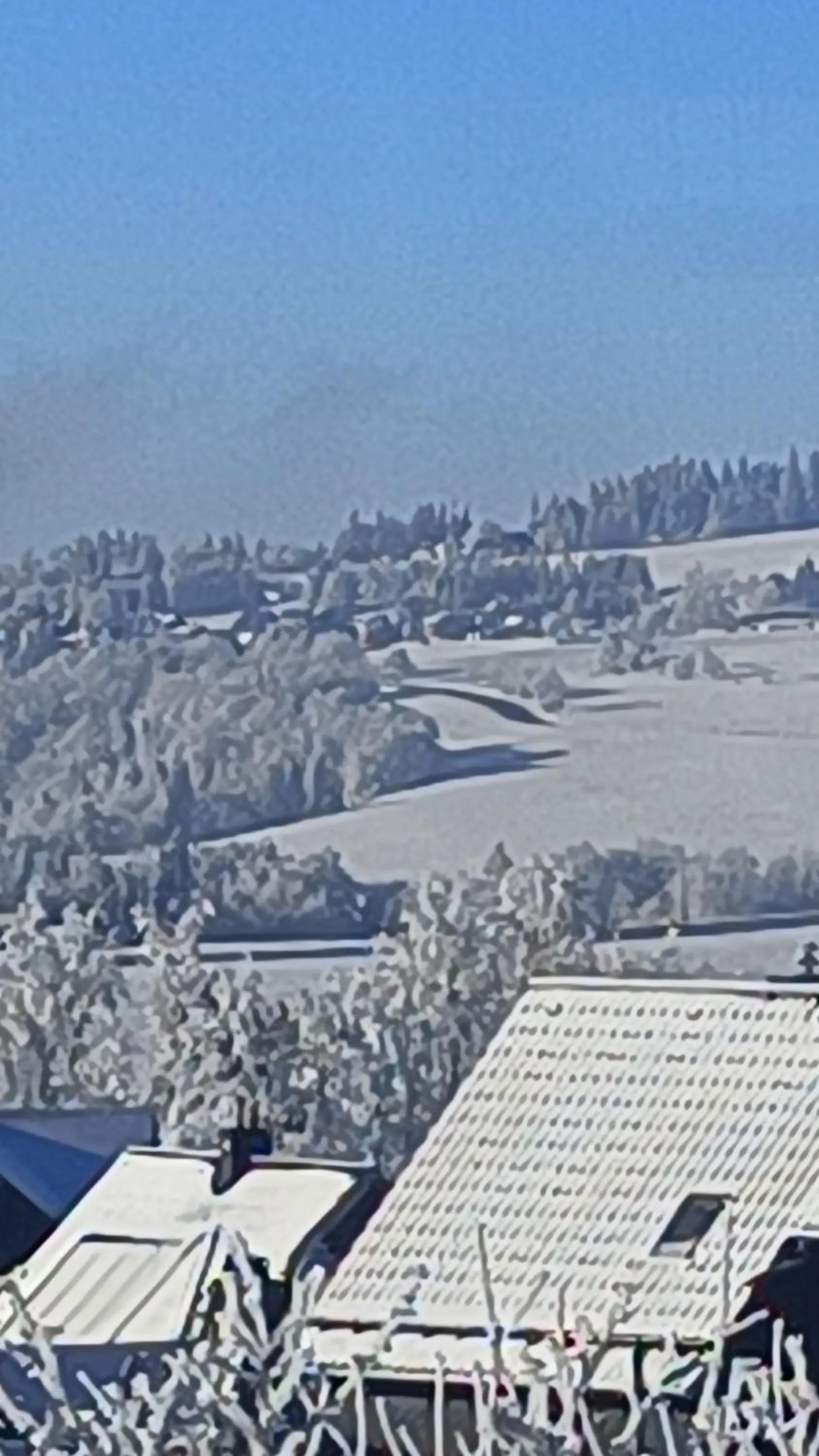 Pension Thüringer Wald