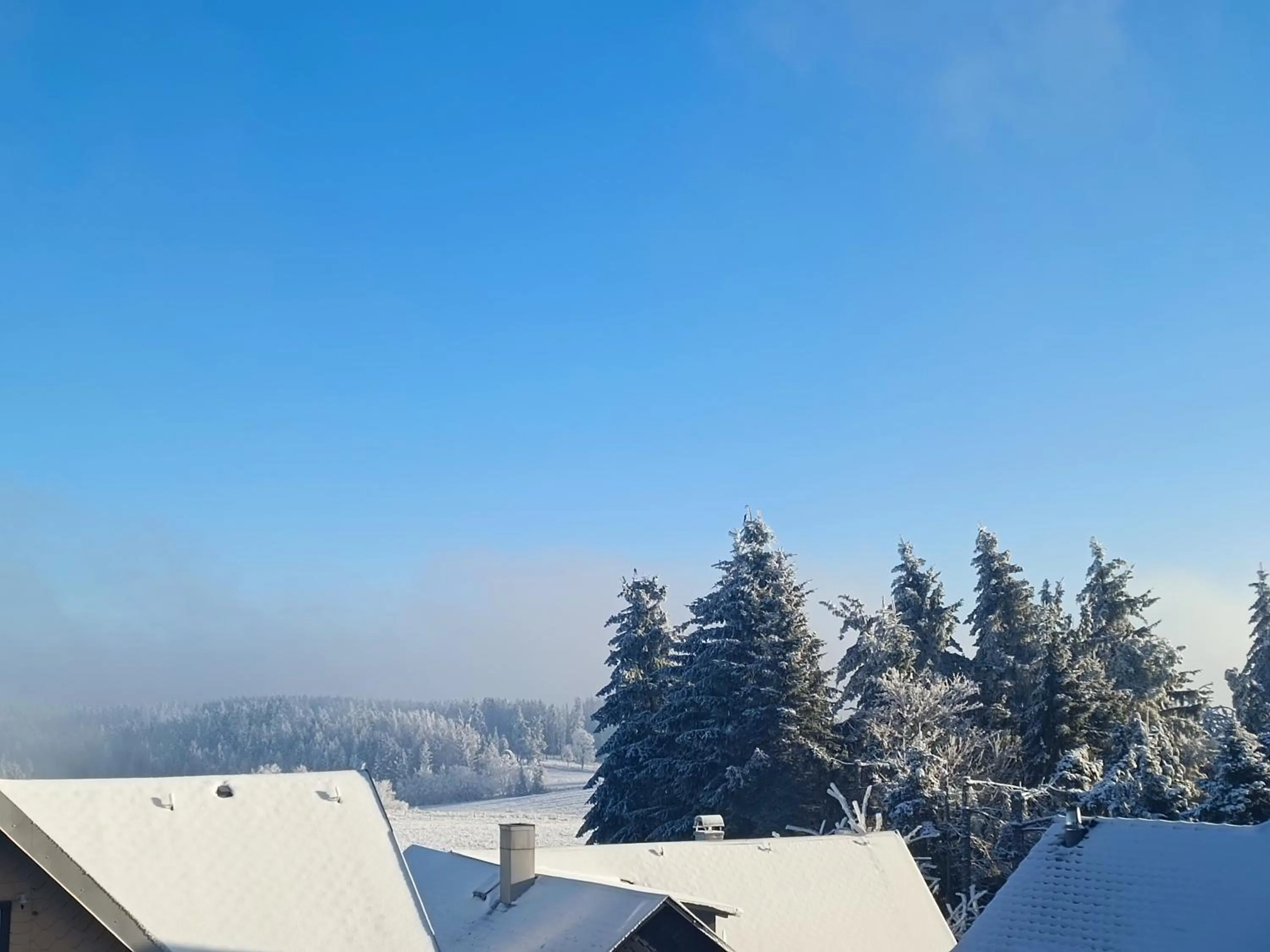 Pension Thüringer Wald