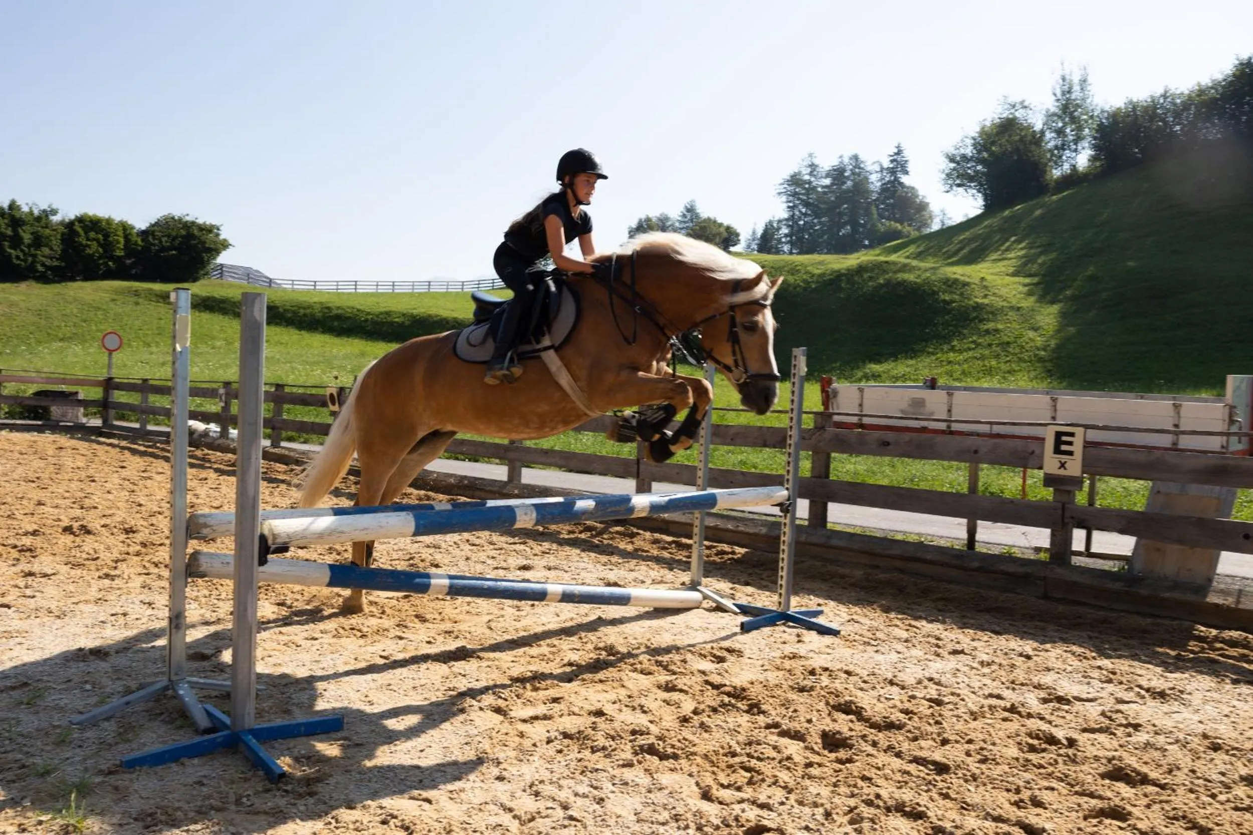 Horse-riding in Familien und Naturhotel Darrehof
