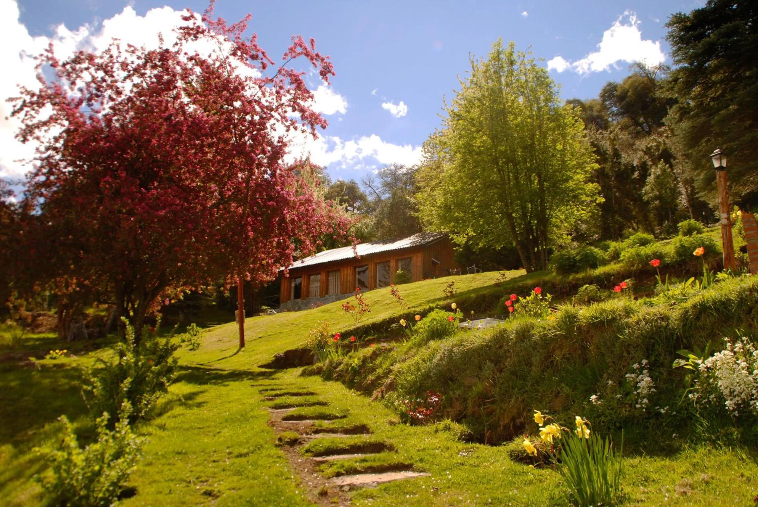 Natural landscape in Cabañas Villa Pañil