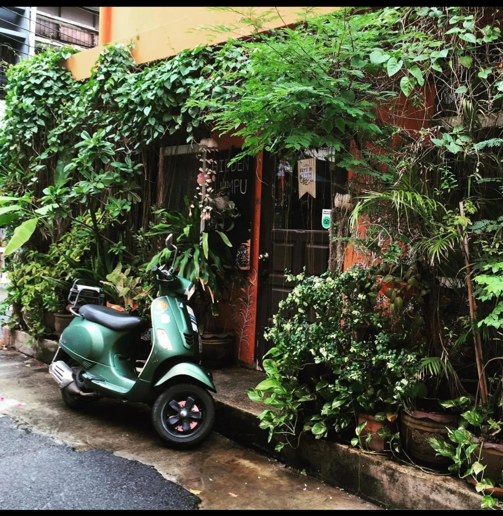 Property building in Hidden Lumpu