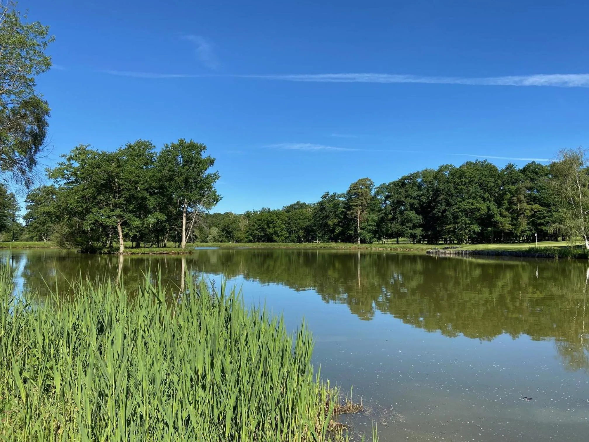 Hiking in Domaine Du Roncemay - Hôtel, Restaurants, Spa & Golf