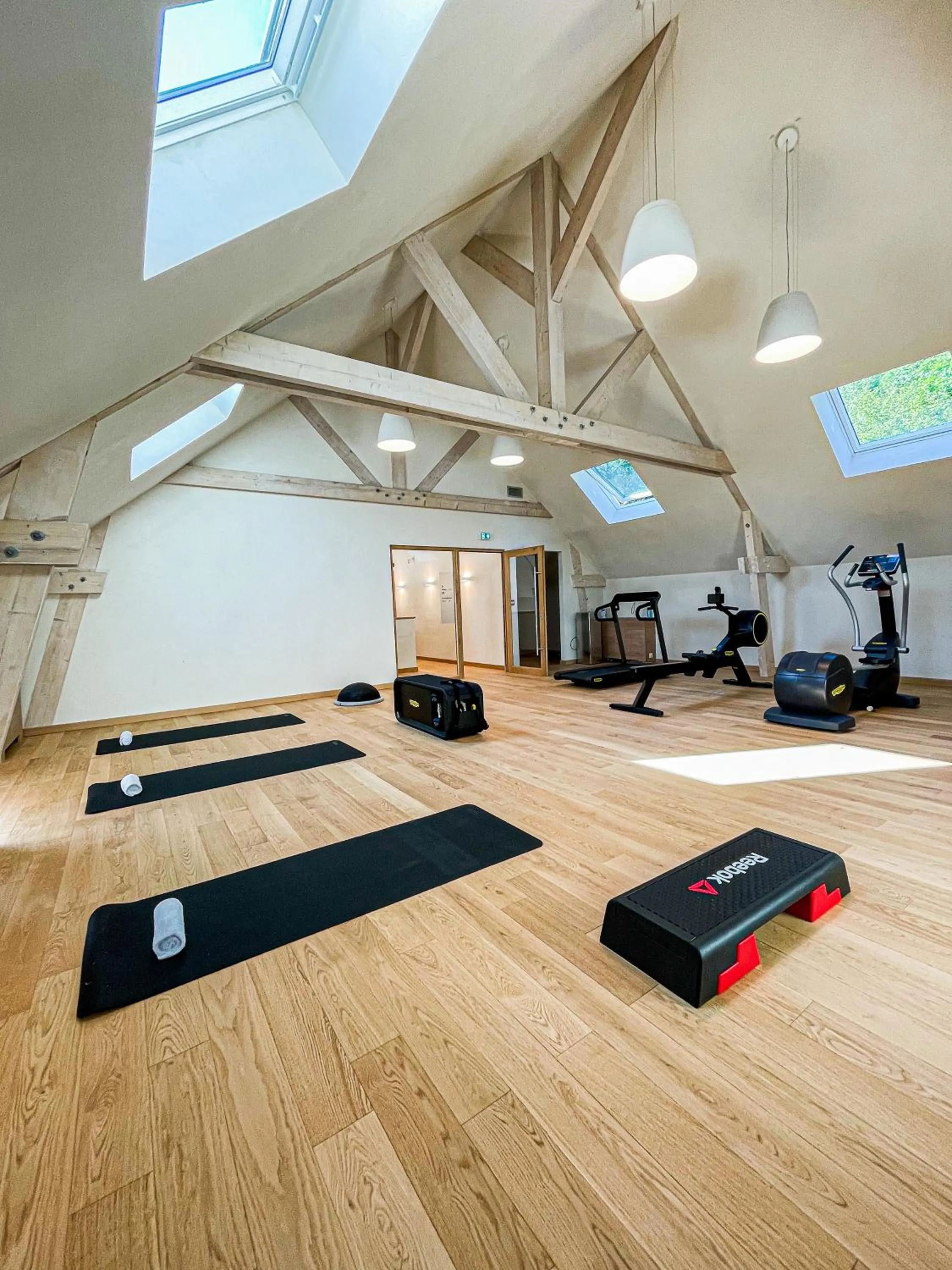 Fitness centre/facilities in Domaine Du Roncemay - Hôtel, Restaurants, Spa & Golf