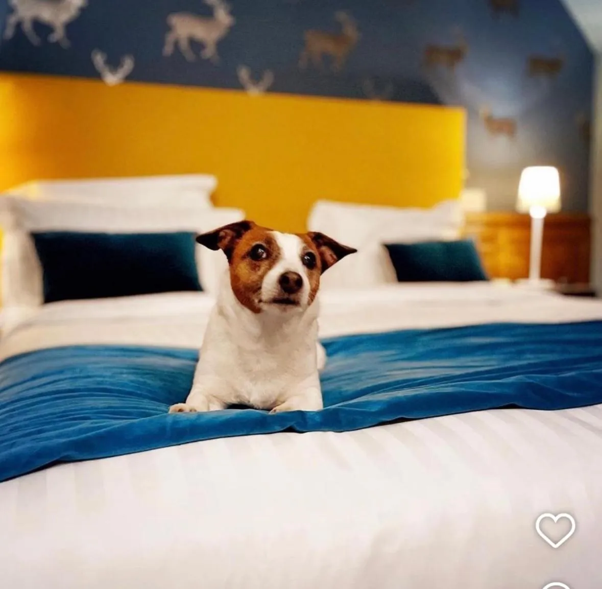 Bedroom, Bed in Domaine Du Roncemay - Hôtel, Restaurants, Spa & Golf