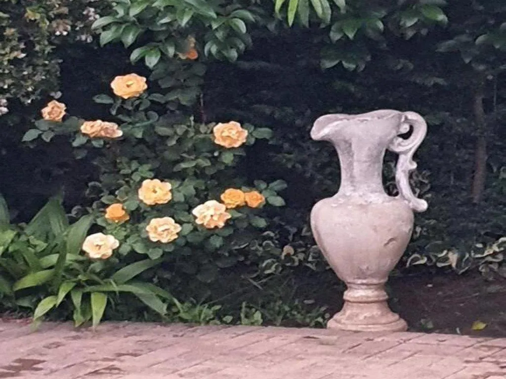 Garden in Gemsbok Cottage