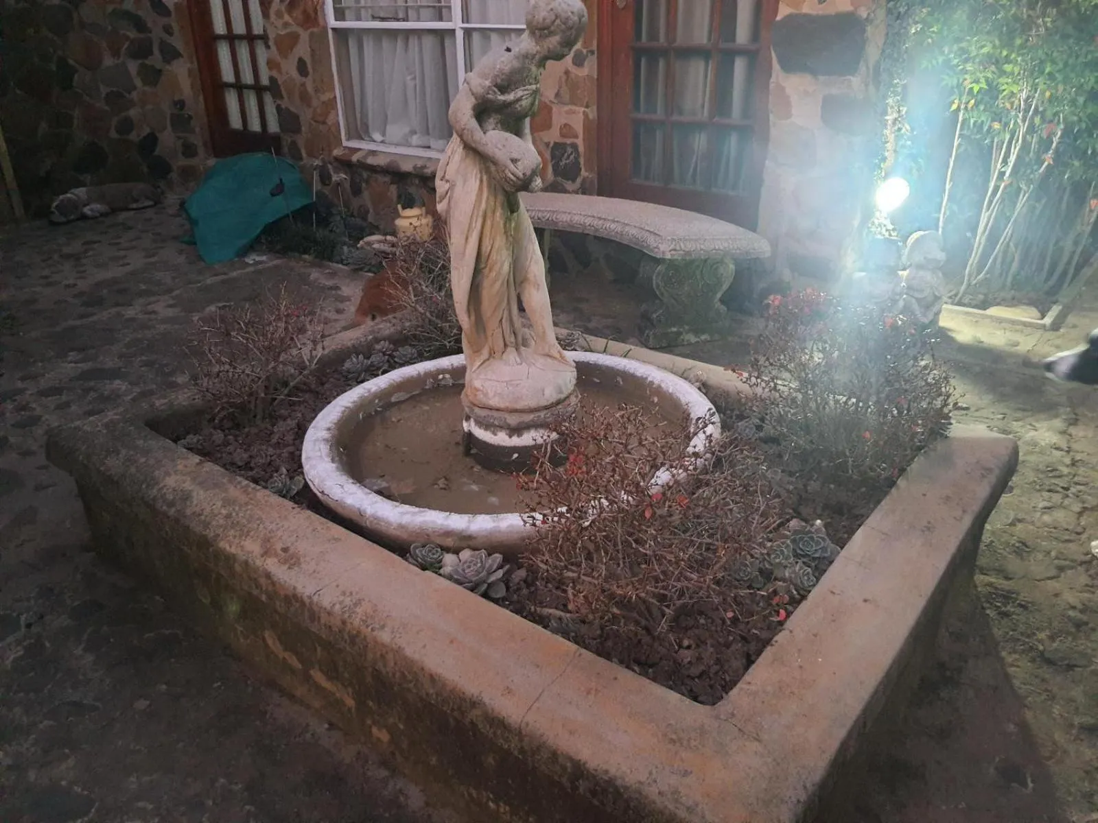 Garden in Gemsbok Cottage