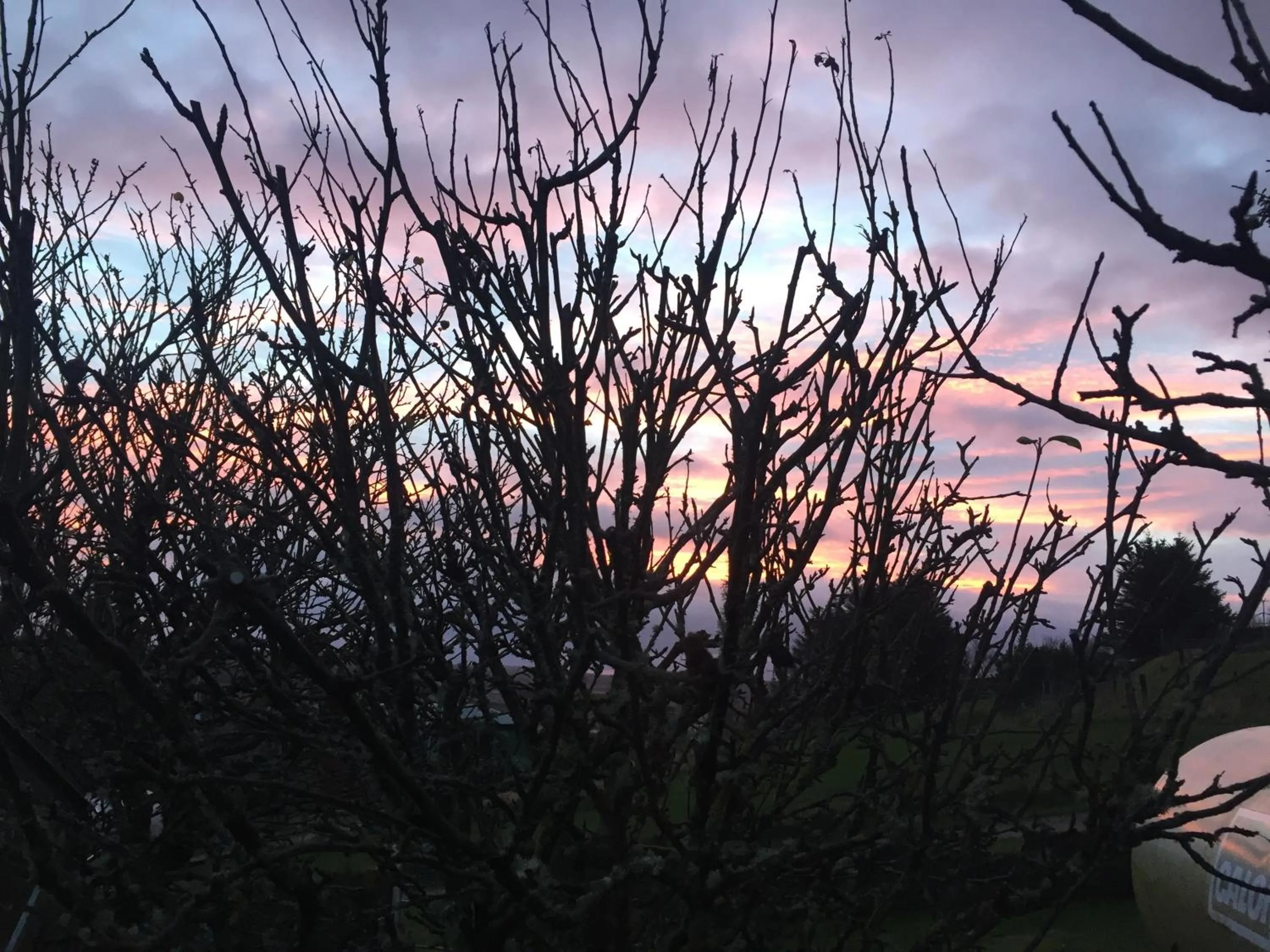 Other in The Sheiling B&B - NC 500