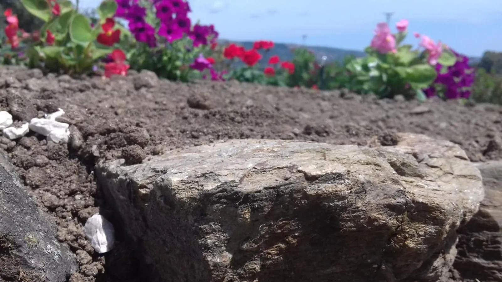 SardAma B&B Affittacamere