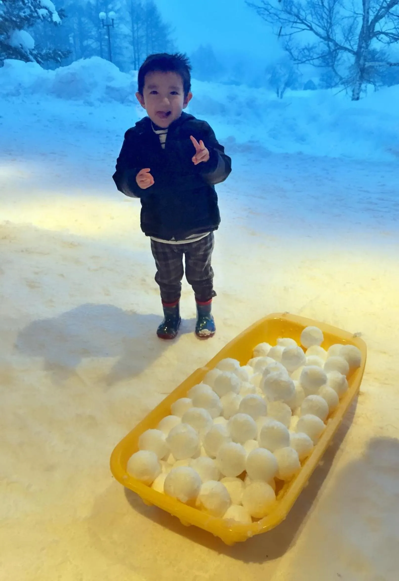 Off site in Snowball Chalet at Madarao Mountain